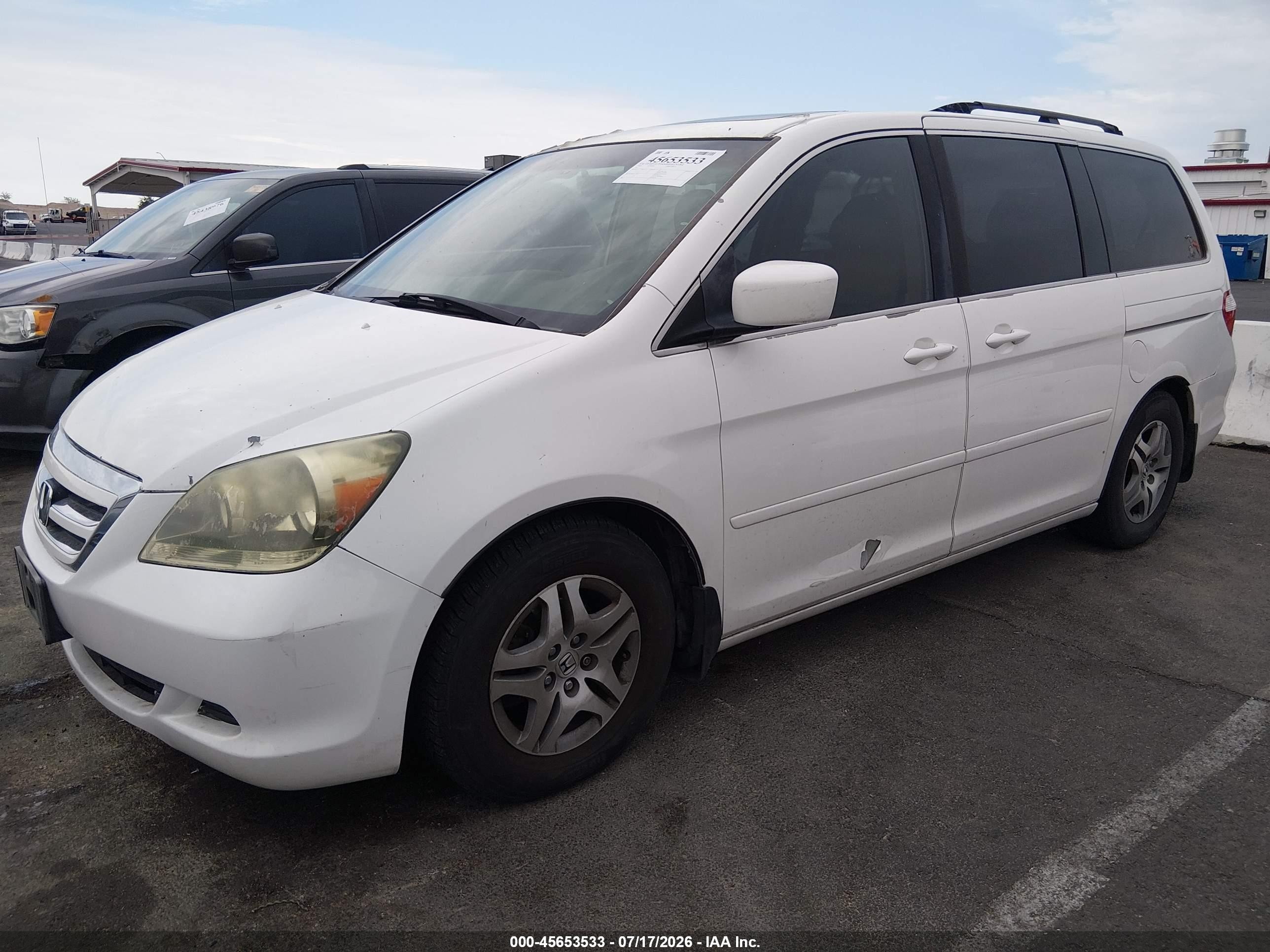 2005 Honda Odyssey Exl White vin: 5FNRL38725B079603
