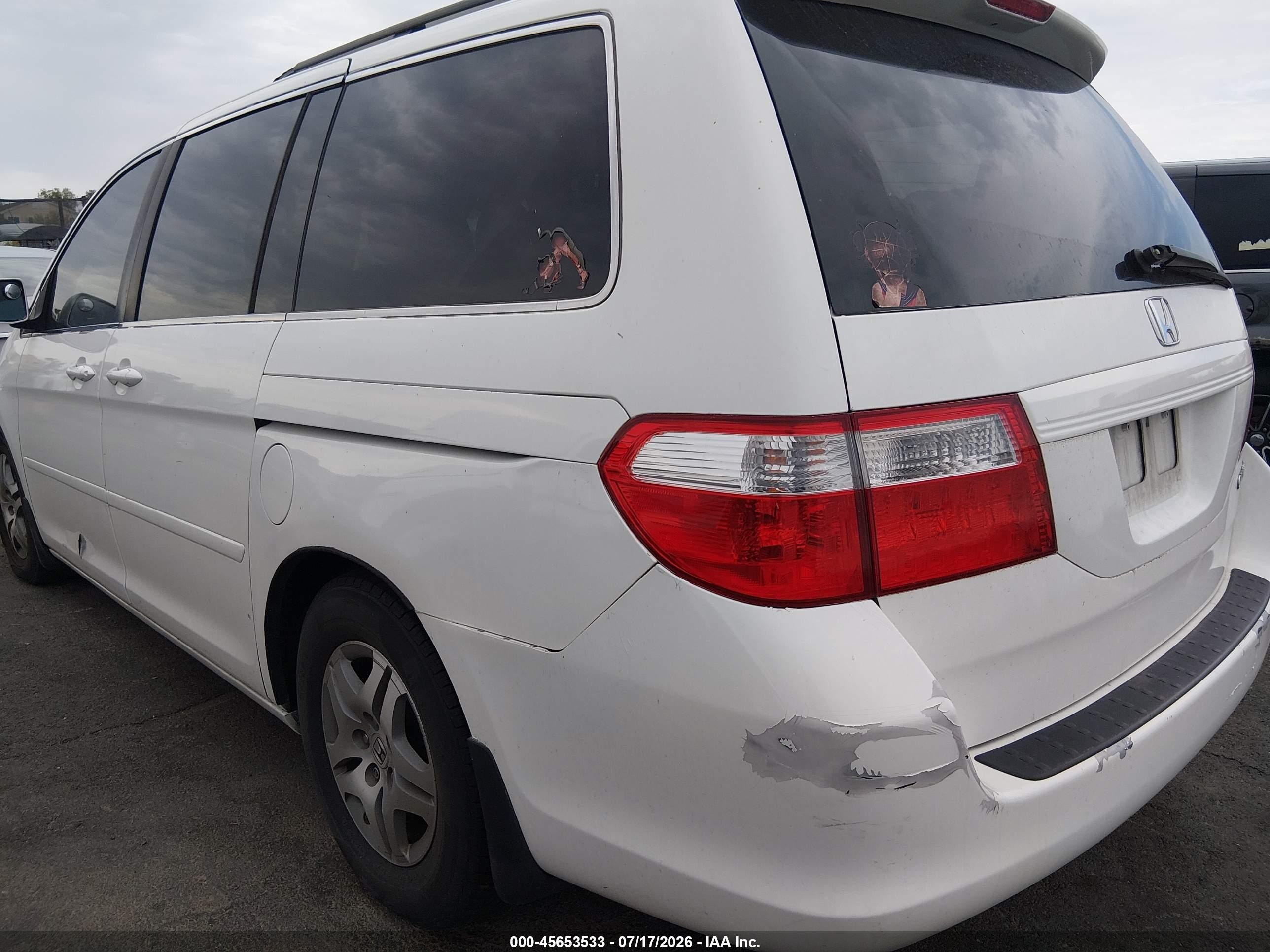 2005 Honda Odyssey Exl White vin: 5FNRL38725B079603