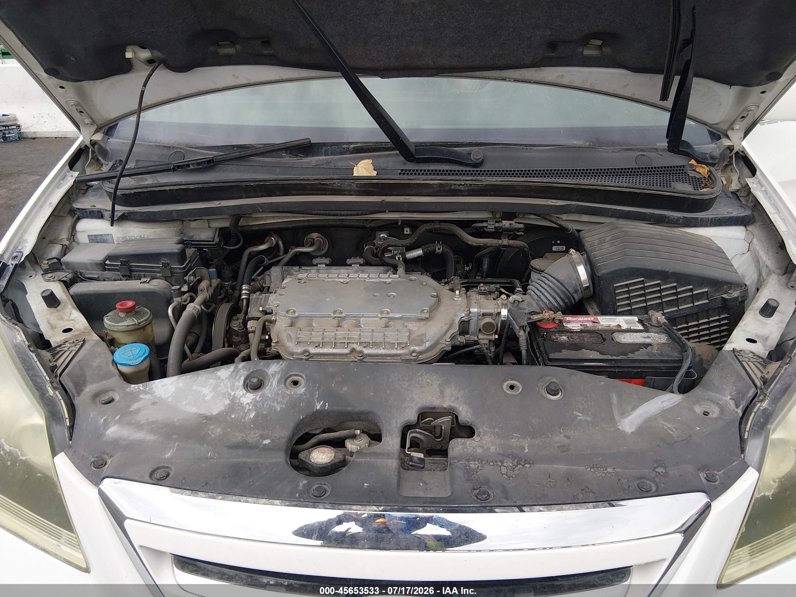 2005 Honda Odyssey Exl White vin: 5FNRL38725B079603