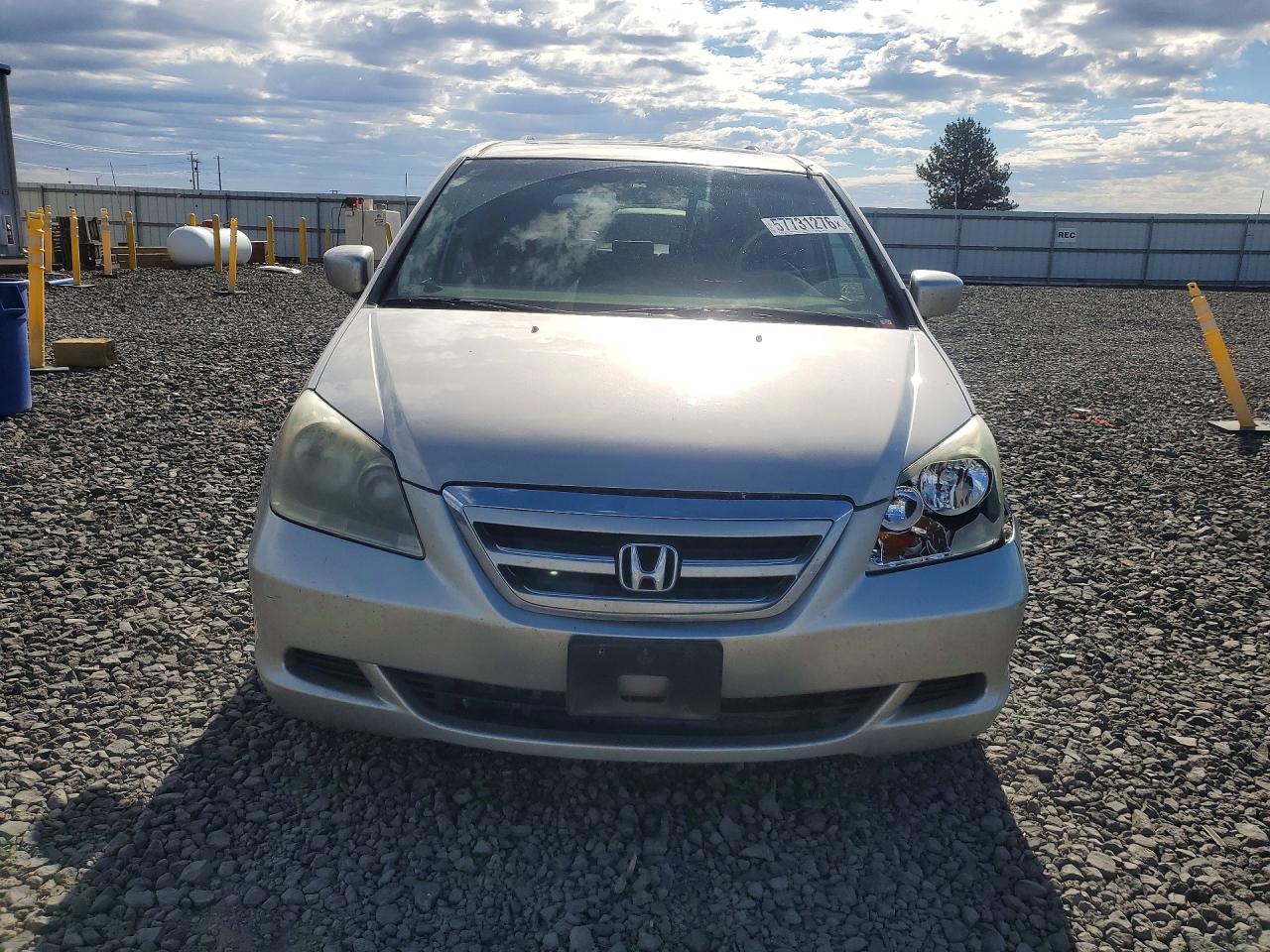 2005 Honda Odyssey Exl Silver vin: 5FNRL38725B096689