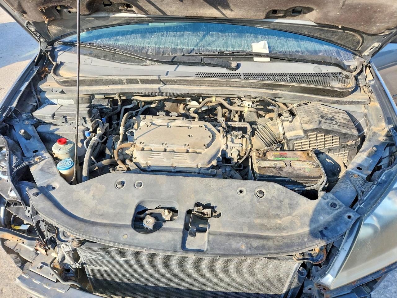 2009 Honda Odyssey Exl Серый vin: 5FNRL38729B029662