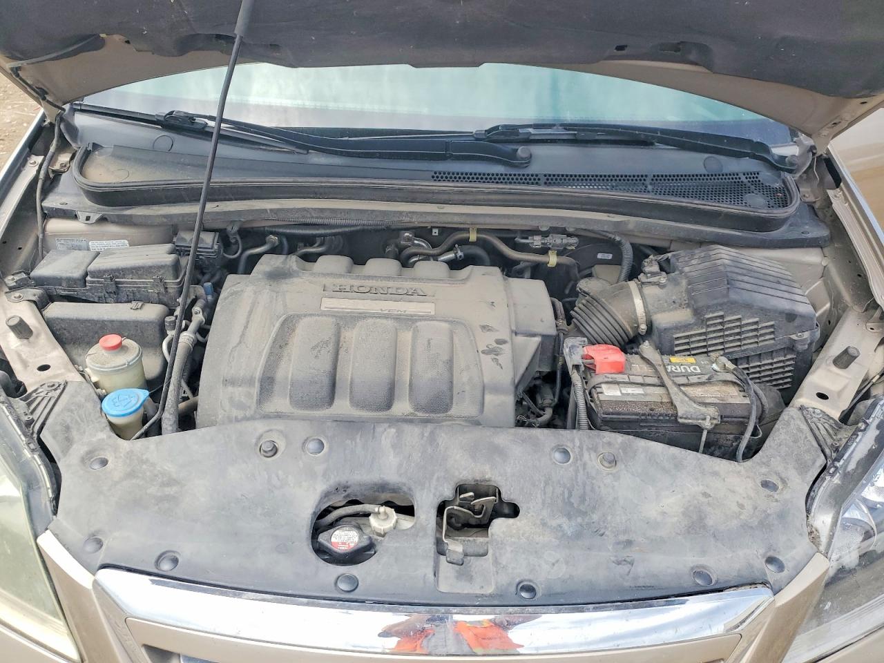 2007 Honda Odyssey Exl Tan vin: 5FNRL38737B111204