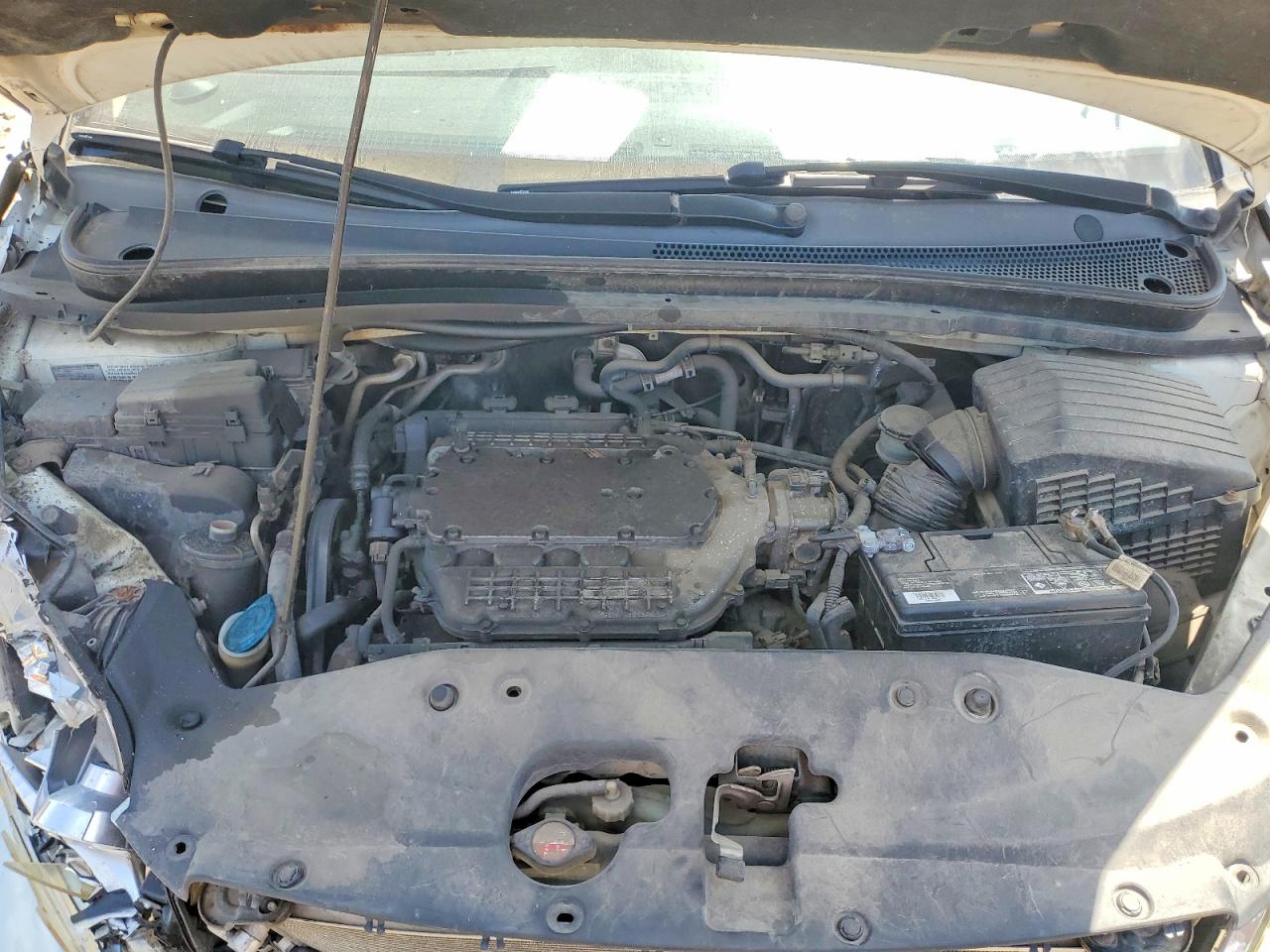 2006 Honda Odyssey Exl White vin: 5FNRL38746B023728