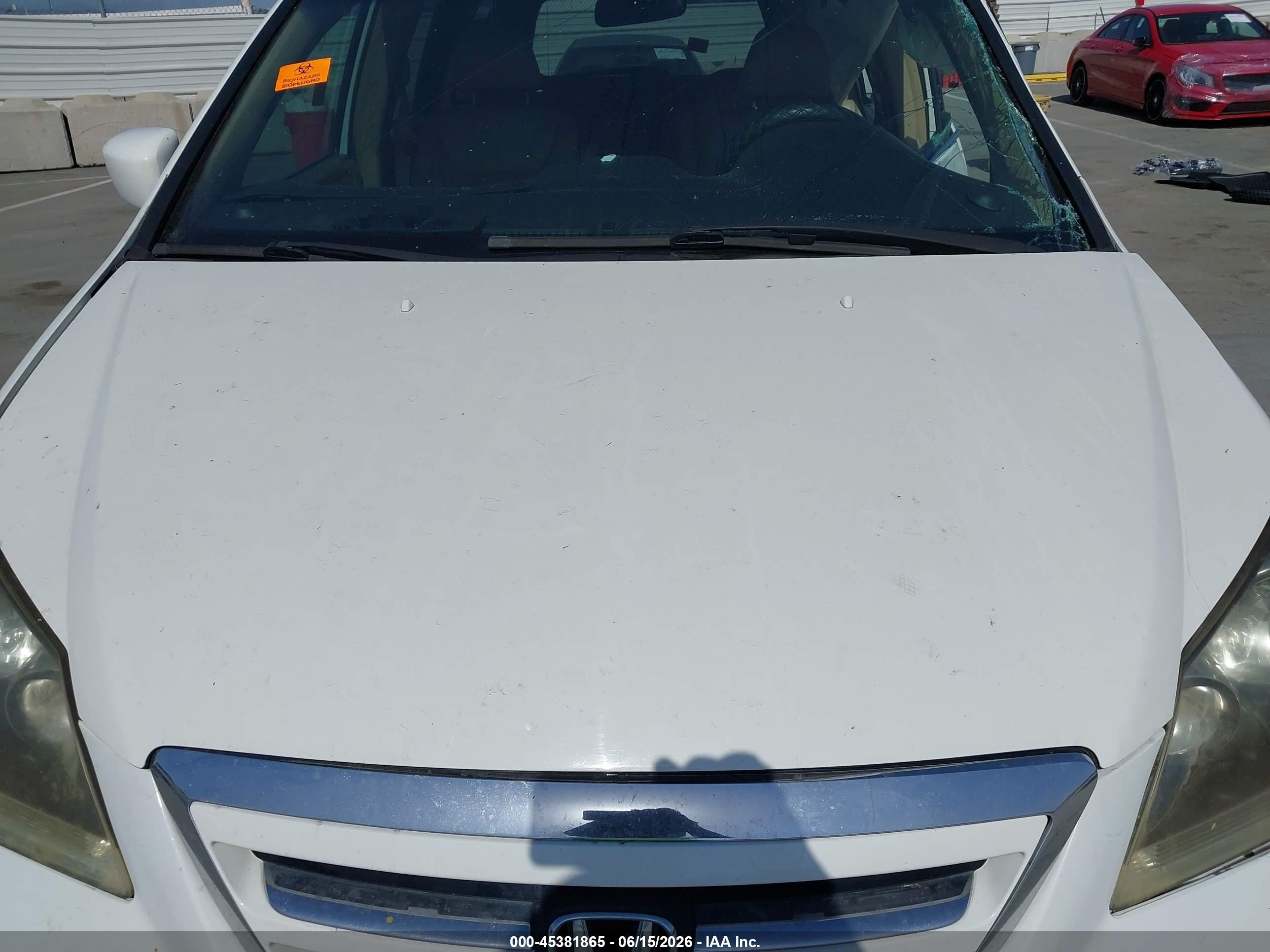 2006 Honda Odyssey Ex-l White vin: 5FNRL38746B444378