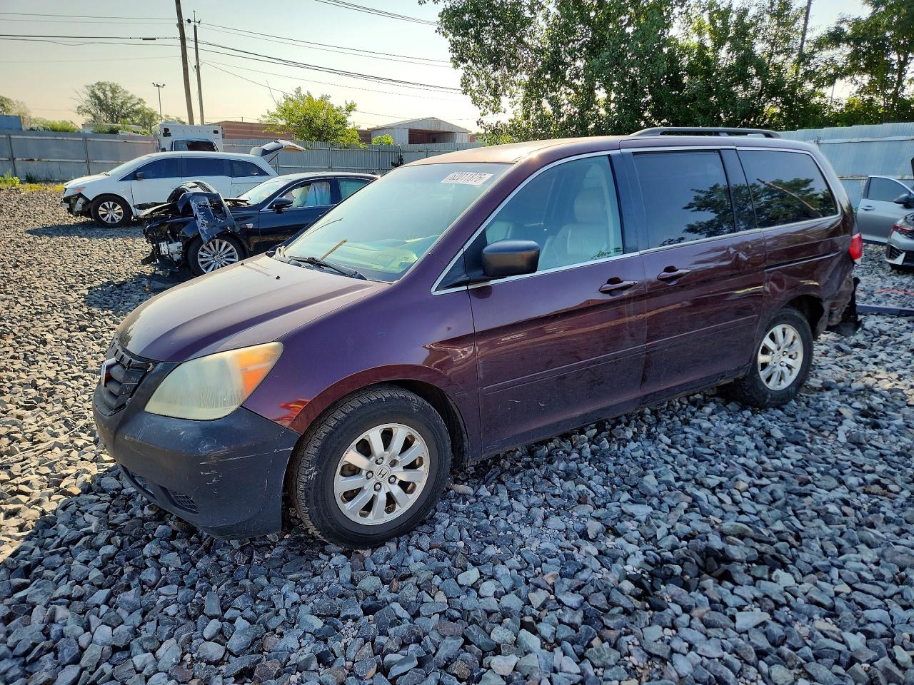 2008 Honda Odyssey Exl Burgundy vin: 5FNRL38748B401386