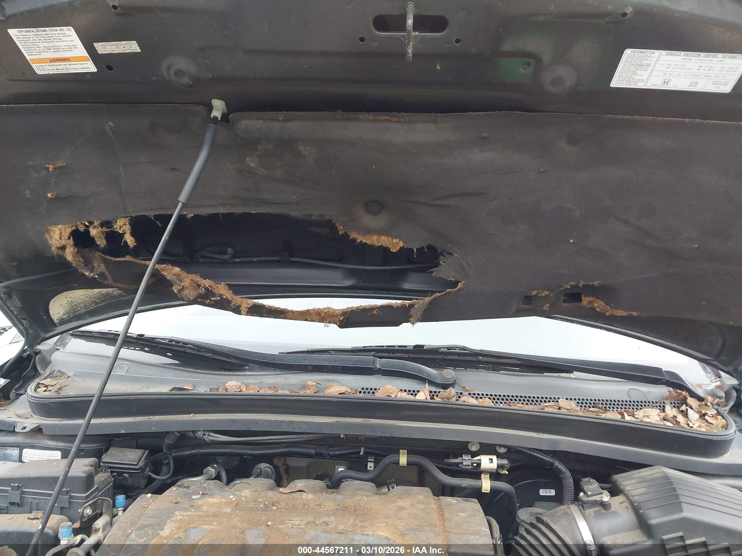 2008 Honda Odyssey Ex-l Черный vin: 5FNRL38758B054828