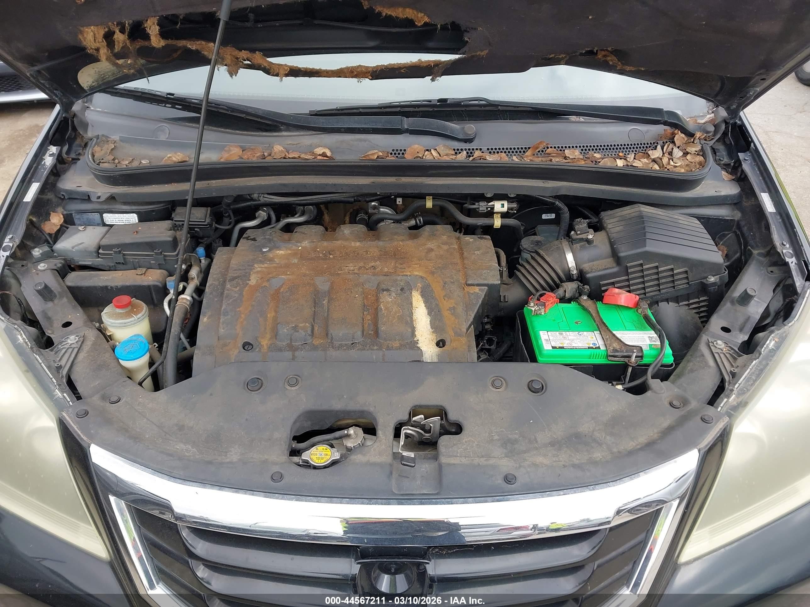 2008 Honda Odyssey Ex-l Черный vin: 5FNRL38758B054828
