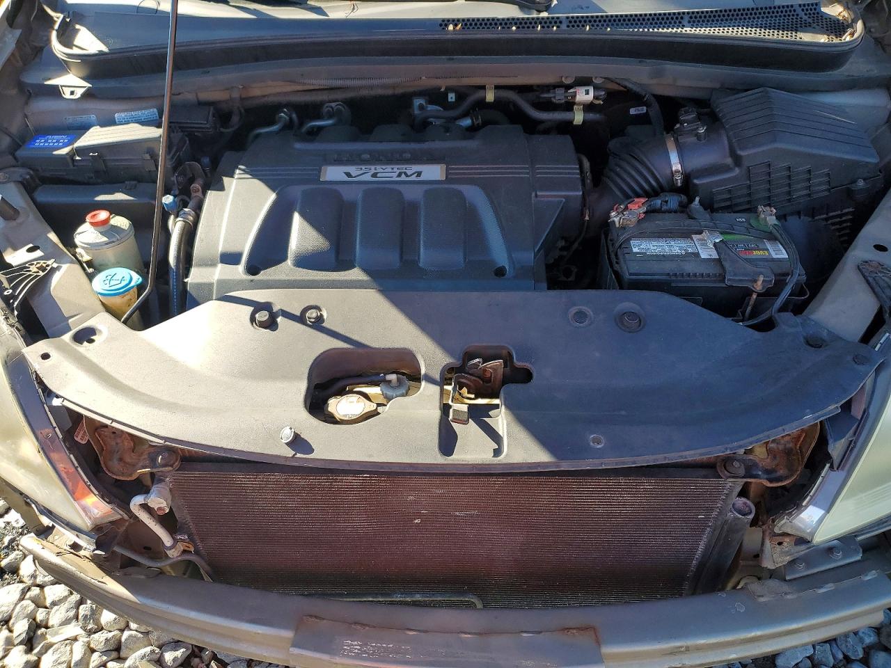 2008 Honda Odyssey Exl Tan vin: 5FNRL38758B408668