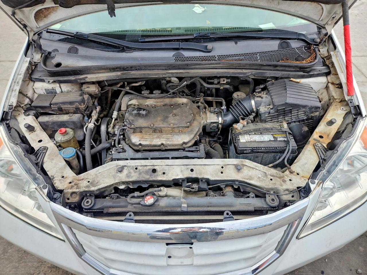 2009 Honda Odyssey Exl White vin: 5FNRL38759B408607