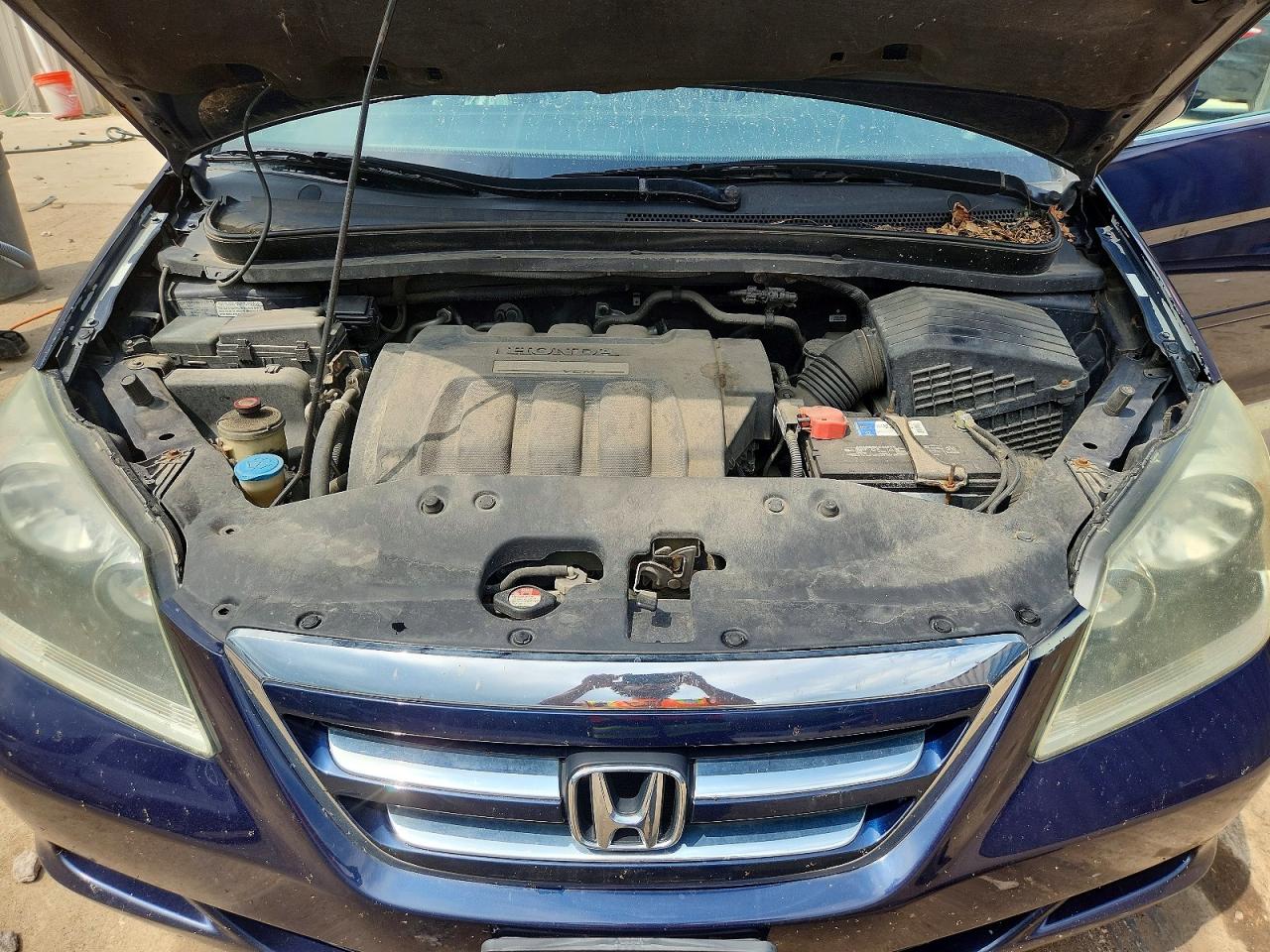 2006 Honda Odyssey Exl Blue vin: 5FNRL38766B027358