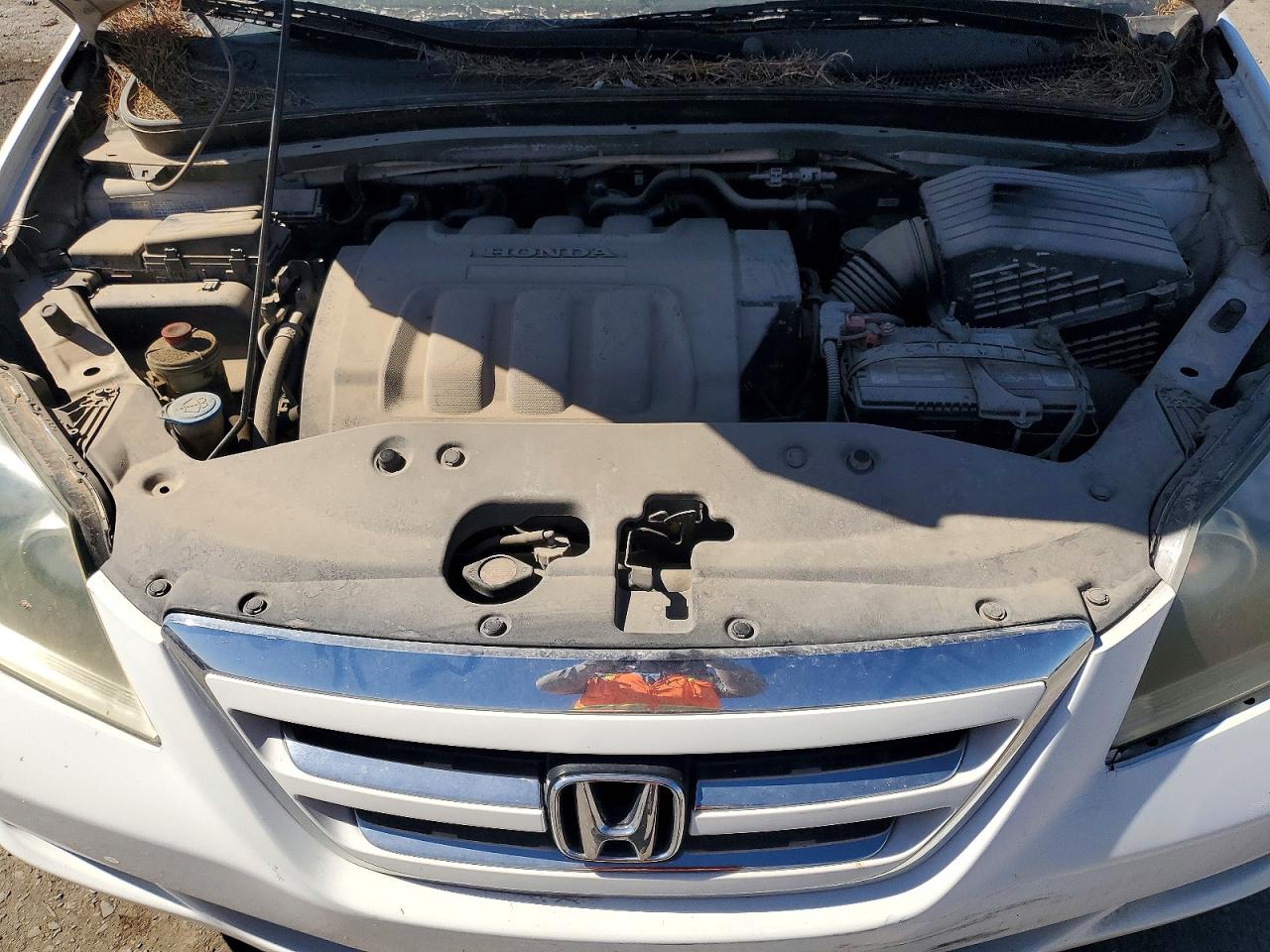 2006 Honda Odyssey Exl White vin: 5FNRL38766B039655