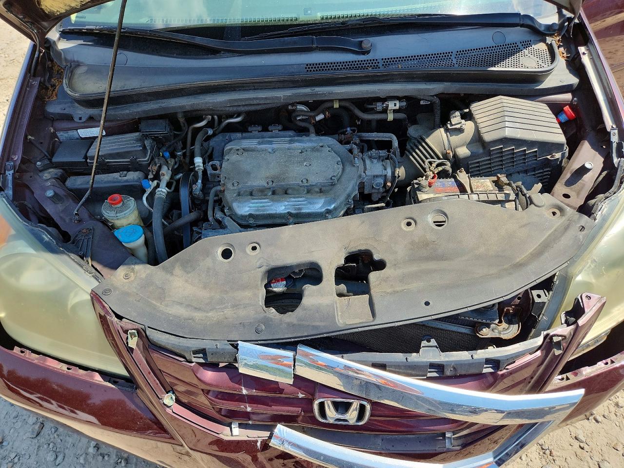 2008 Honda Odyssey Exl Burgundy vin: 5FNRL38768B100957