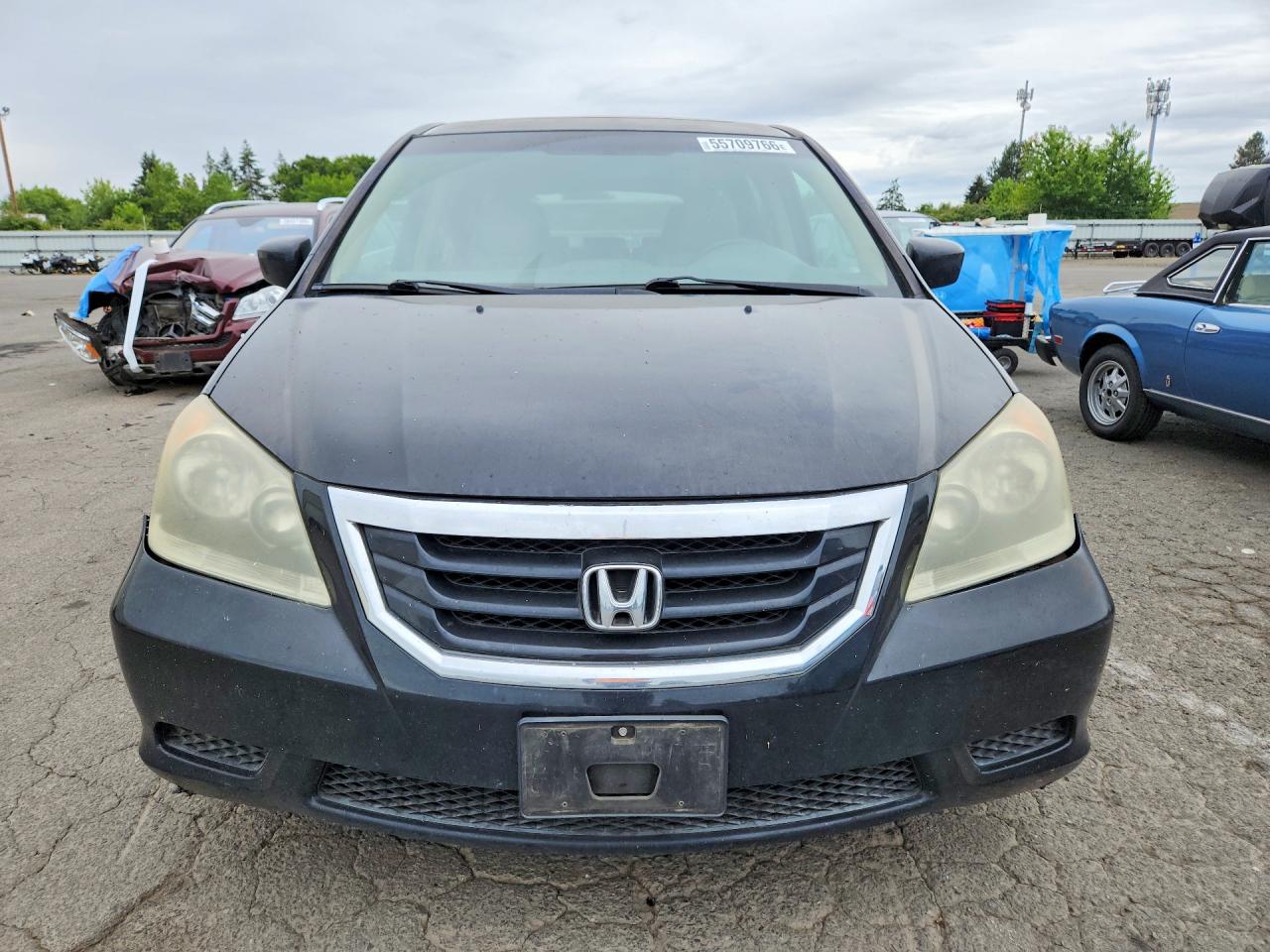 2008 Honda Odyssey Exl Black vin: 5FNRL38768B114406