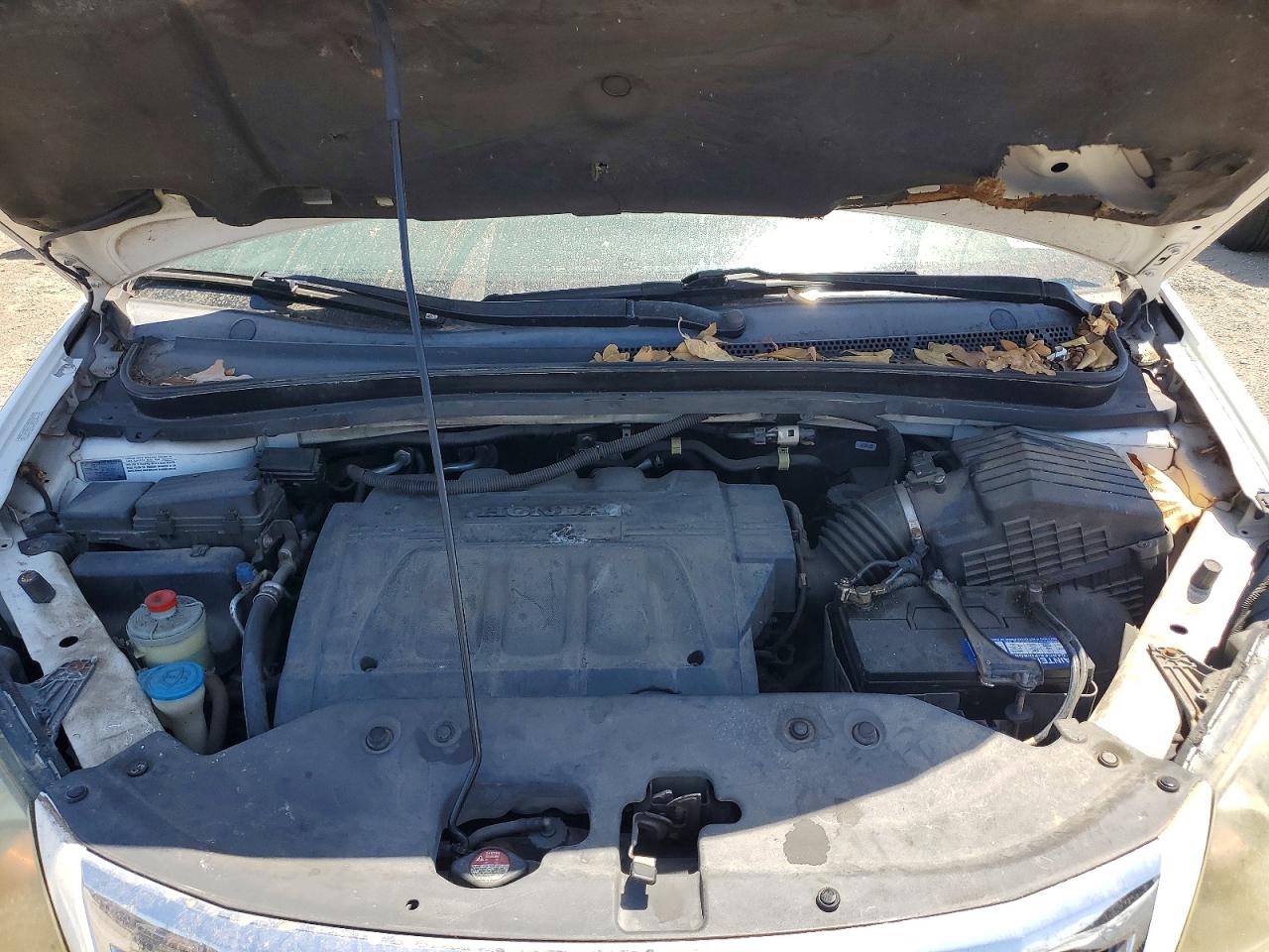 2009 Honda Odyssey Exl White vin: 5FNRL38769B001637