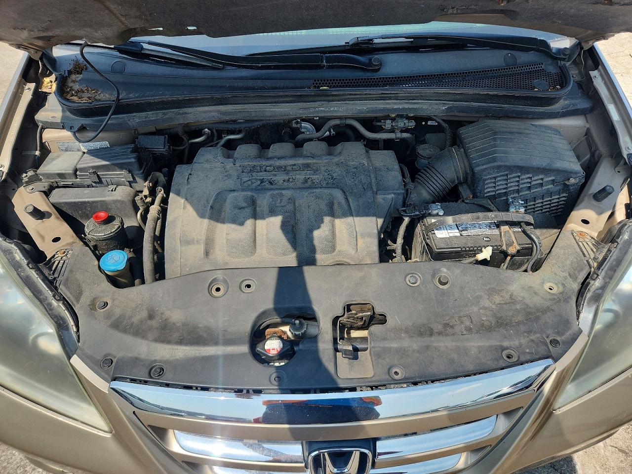 2005 Honda Odyssey Exl Tan vin: 5FNRL38775B108769