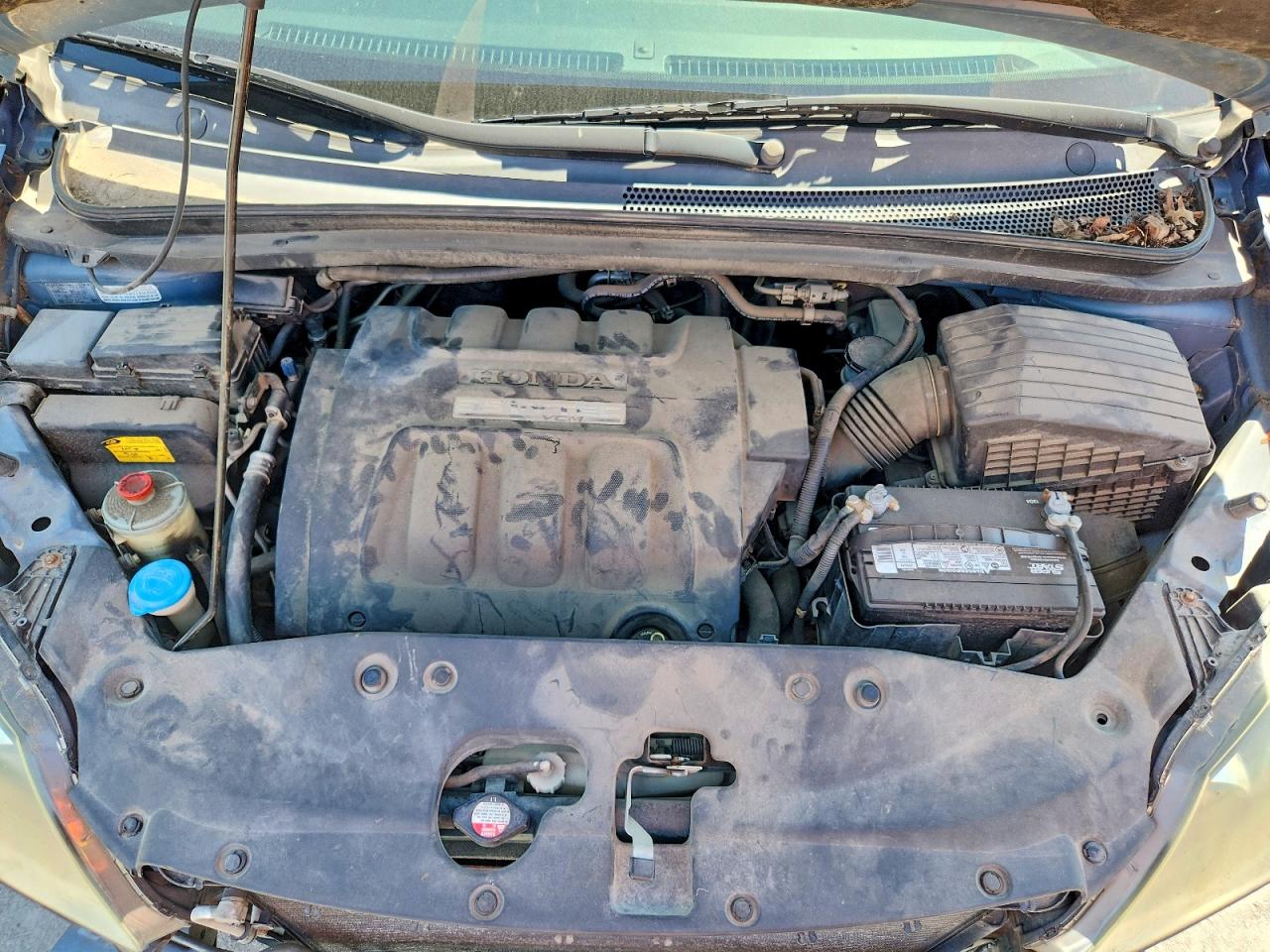 2006 Honda Odyssey Exl Blue vin: 5FNRL38776B025618