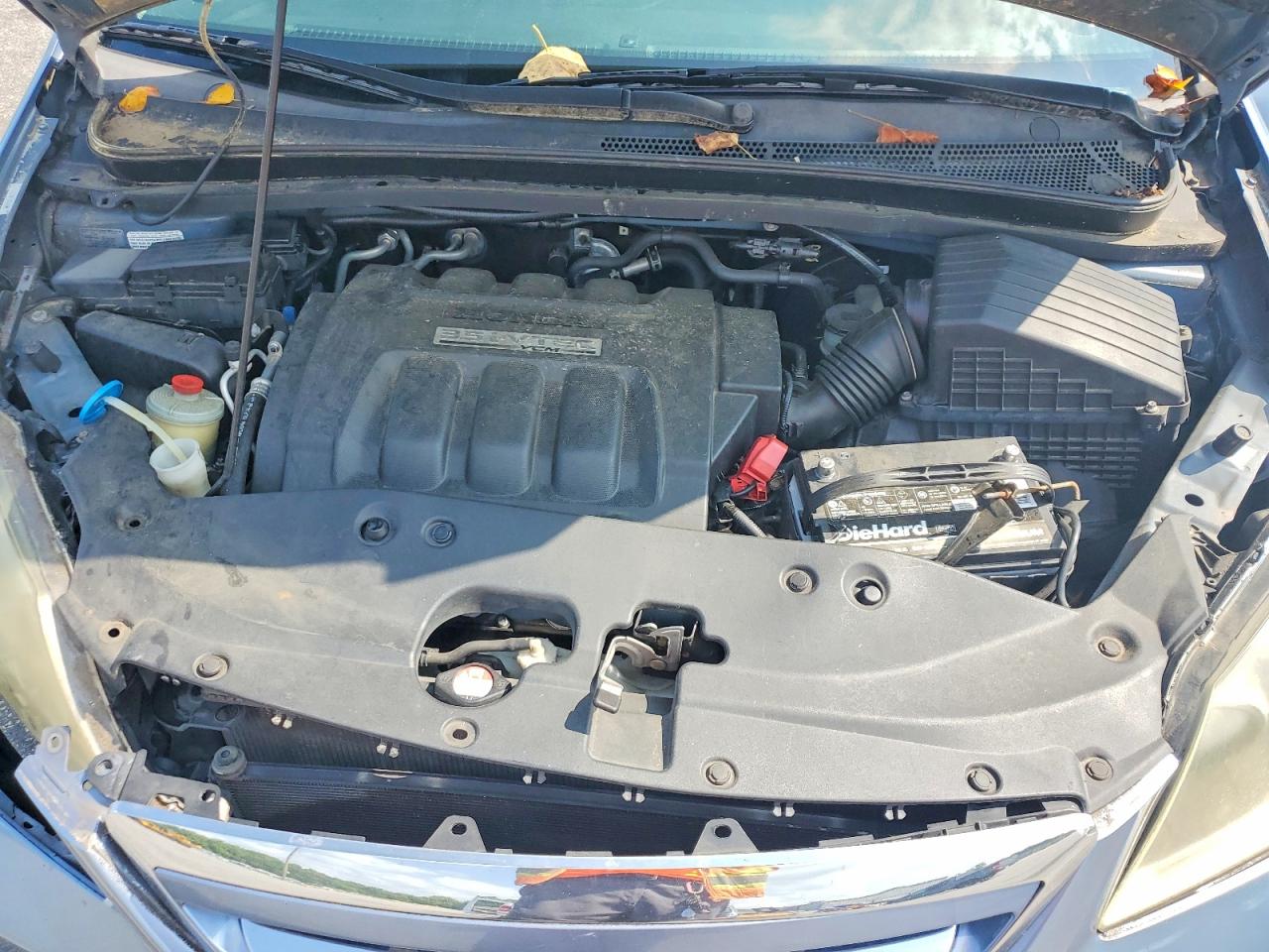 2006 Honda Odyssey Exl Blue vin: 5FNRL38776B080313