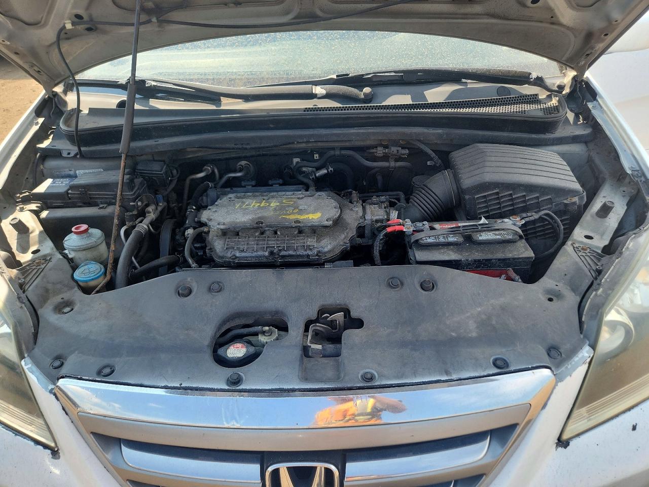2005 Honda Odyssey Exl White vin: 5FNRL38785B053975
