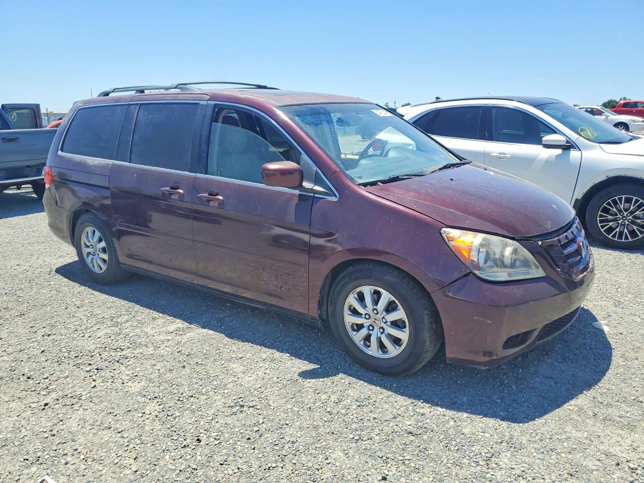 2009 Honda Odyssey Exl Burgundy vin: 5FNRL38789B408973