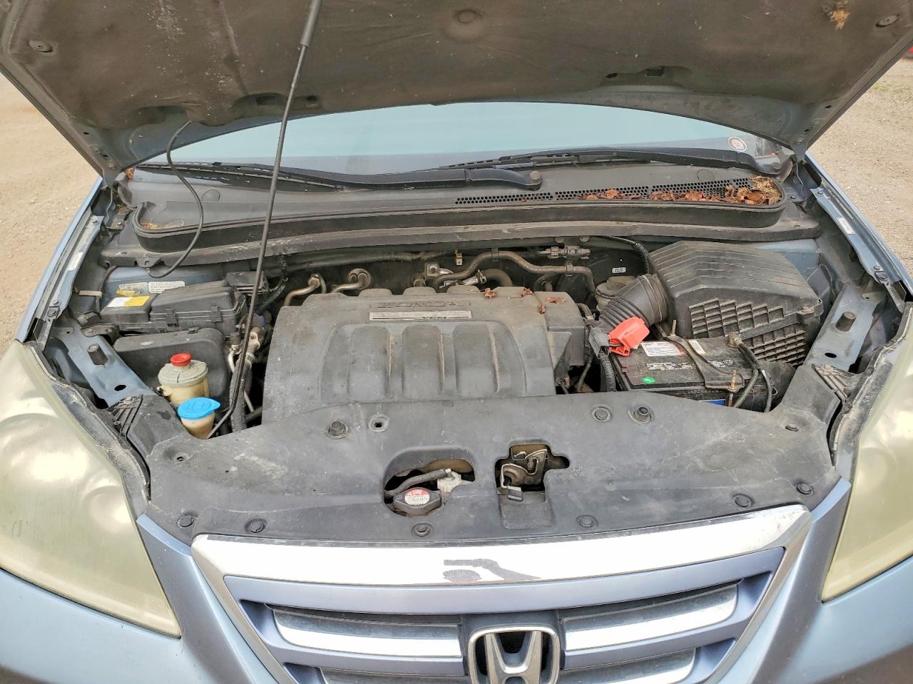 2006 Honda Odyssey Exl Blue vin: 5FNRL38796B124280