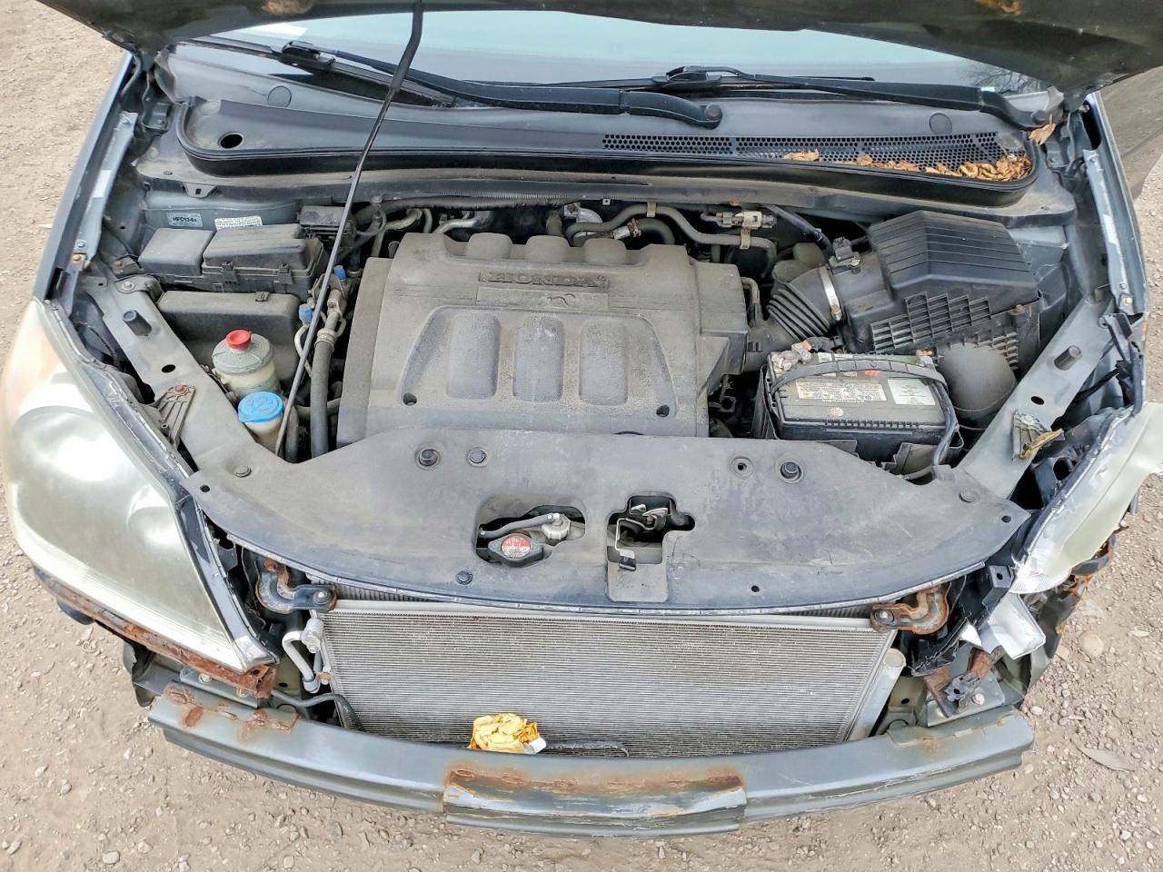 2008 Honda Odyssey Exl Charcoal vin: 5FNRL38798B503850