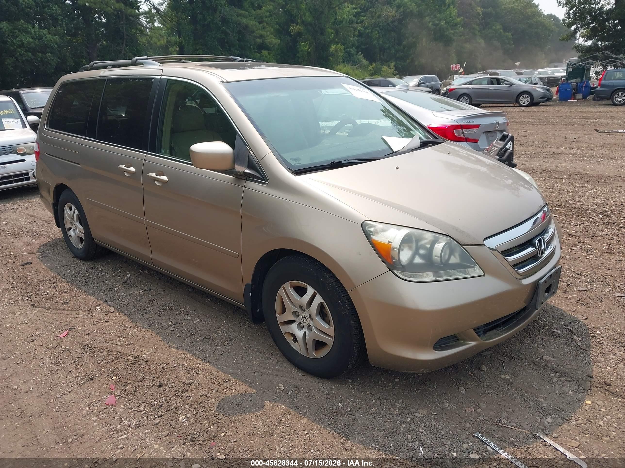 2005 Honda Odyssey Ex-l Gold vin: 5FNRL387X5B011775