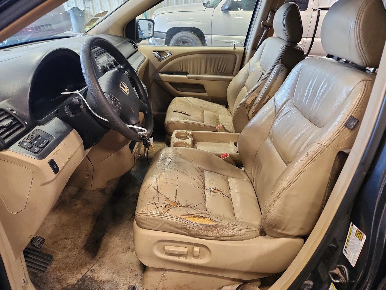 2005 Honda Odyssey Exl Gray vin: 5FNRL387X5B043271