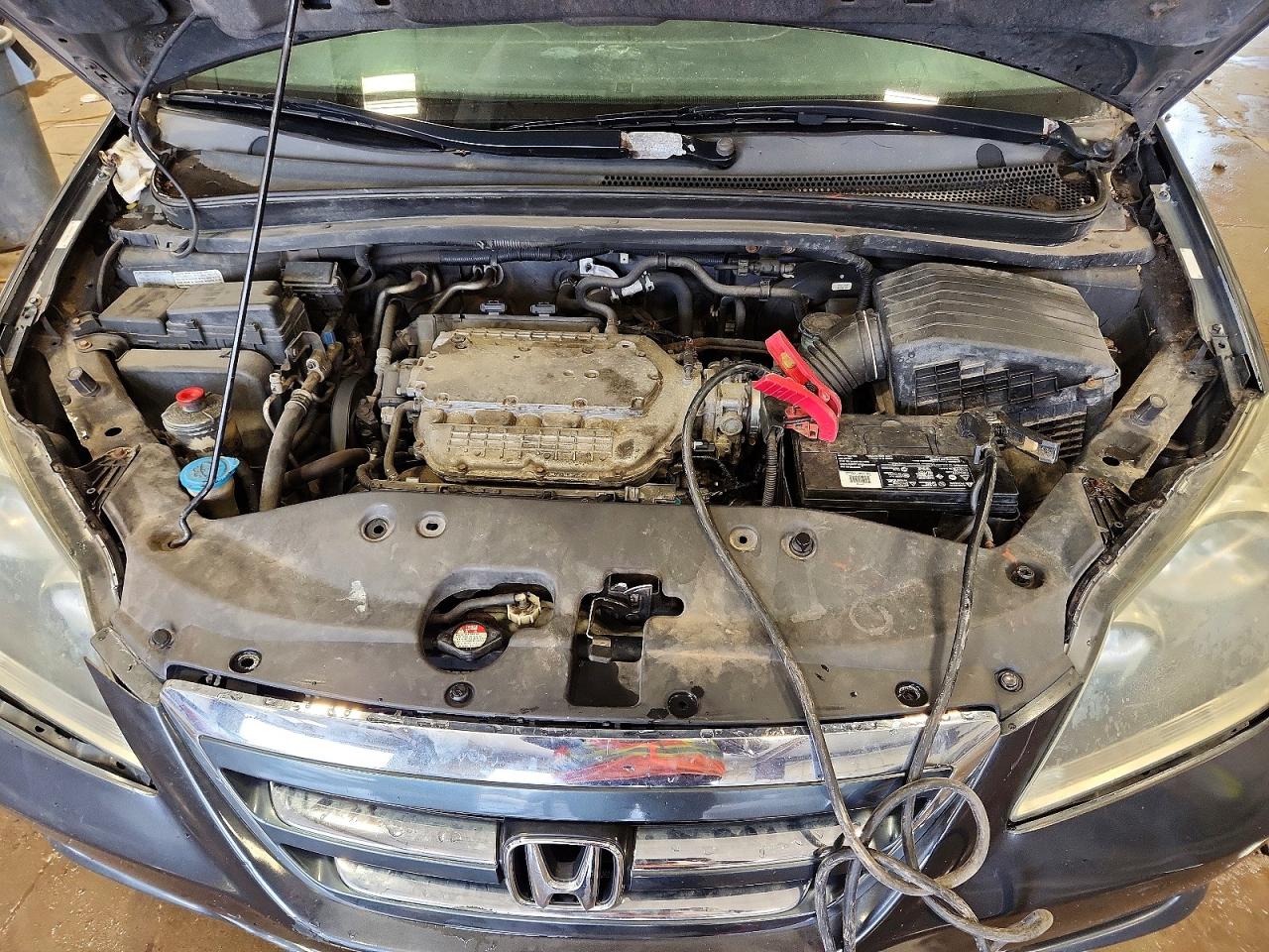 2005 Honda Odyssey Exl Gray vin: 5FNRL387X5B043271