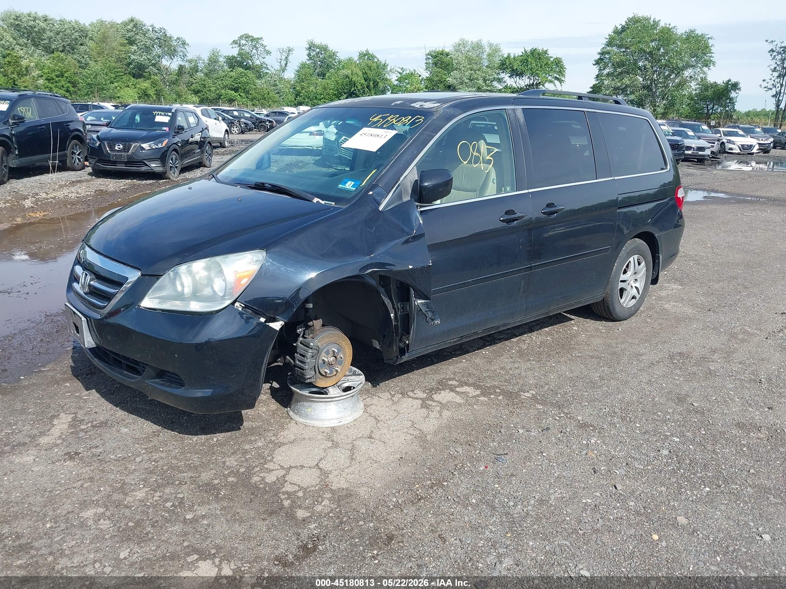 2005 Honda Odyssey Ex-l Black vin: 5FNRL387X5B051175