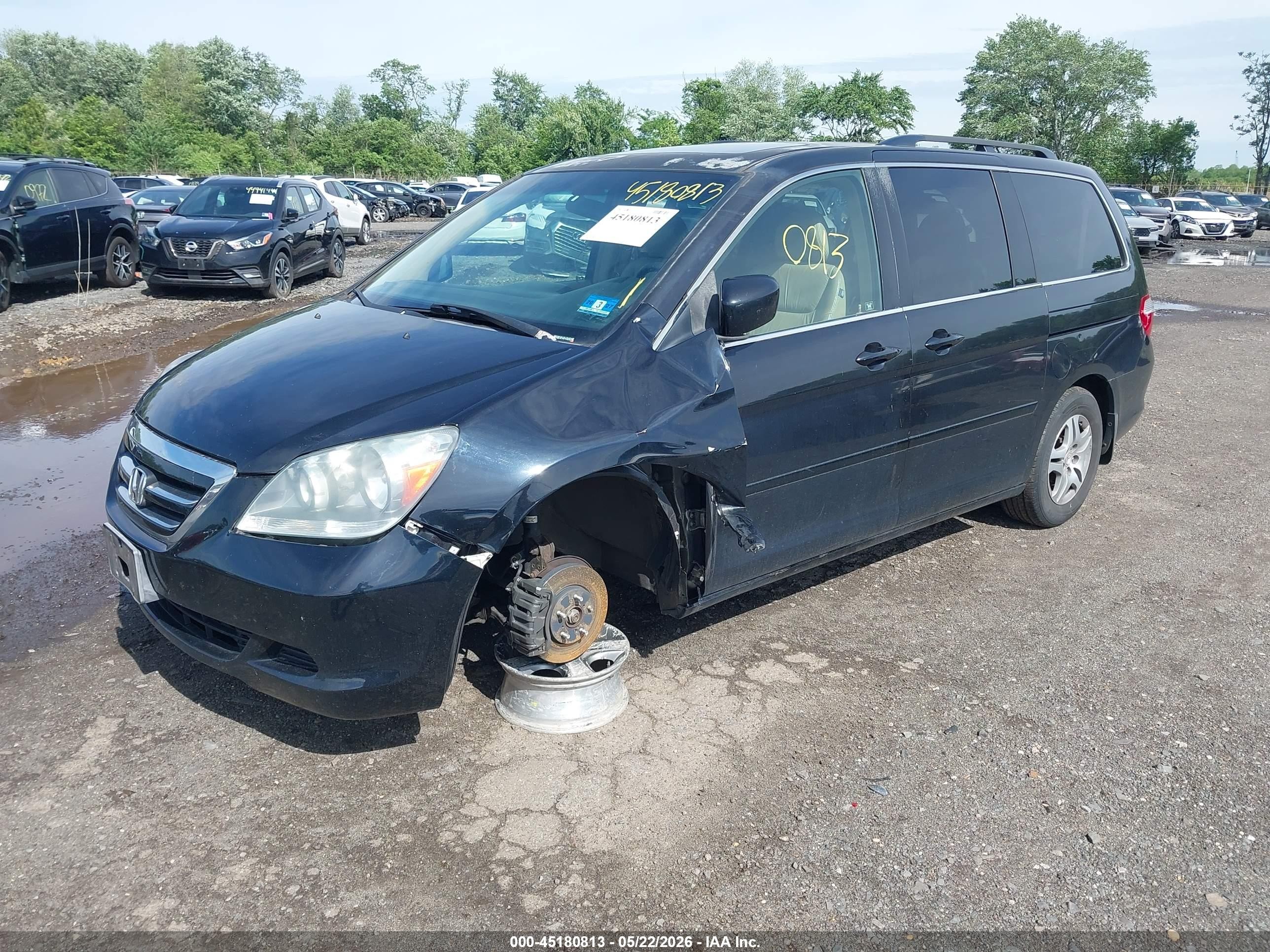 2005 Honda Odyssey Ex-l Black vin: 5FNRL387X5B051175
