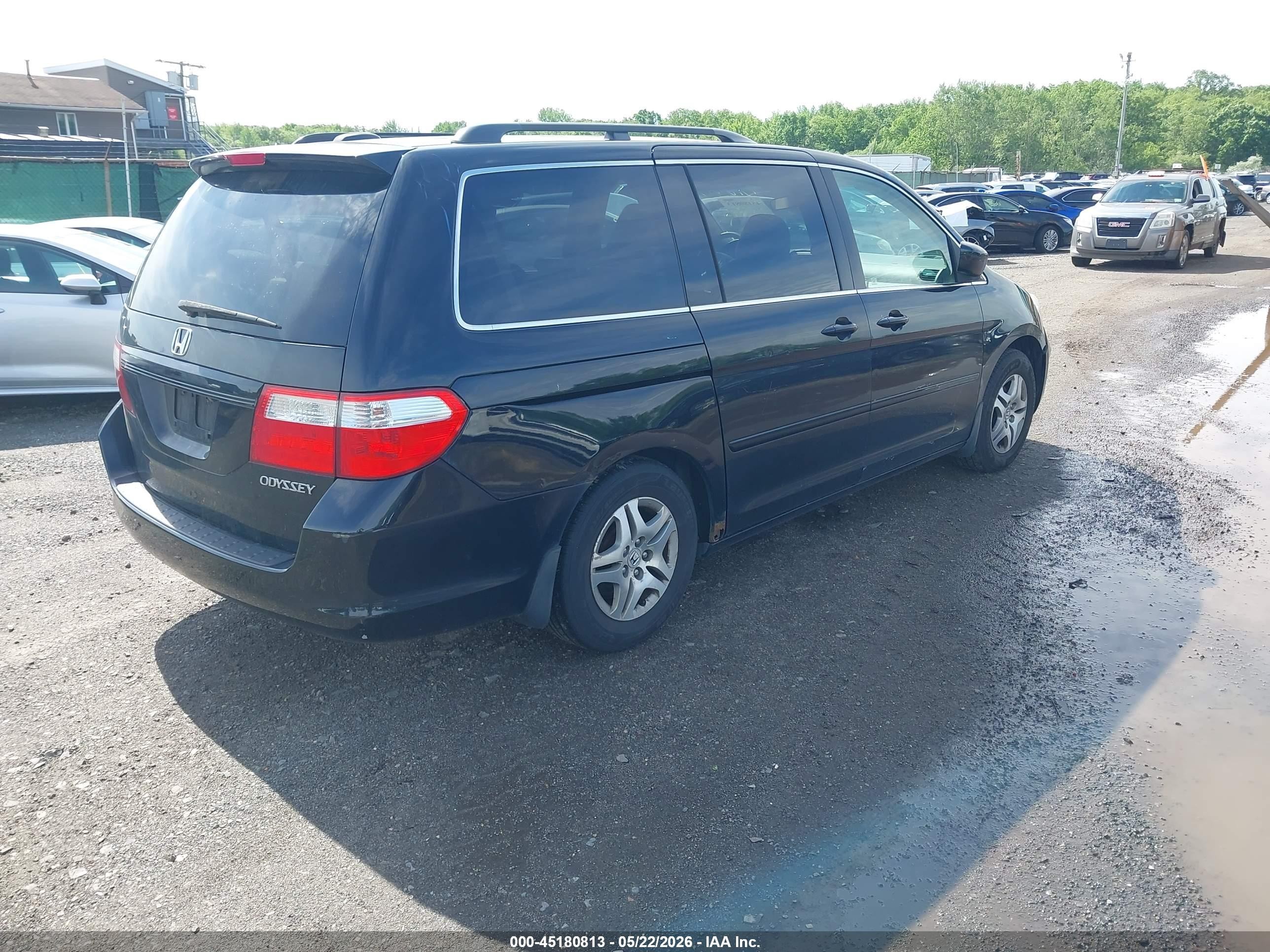 2005 Honda Odyssey Ex-l Black vin: 5FNRL387X5B051175