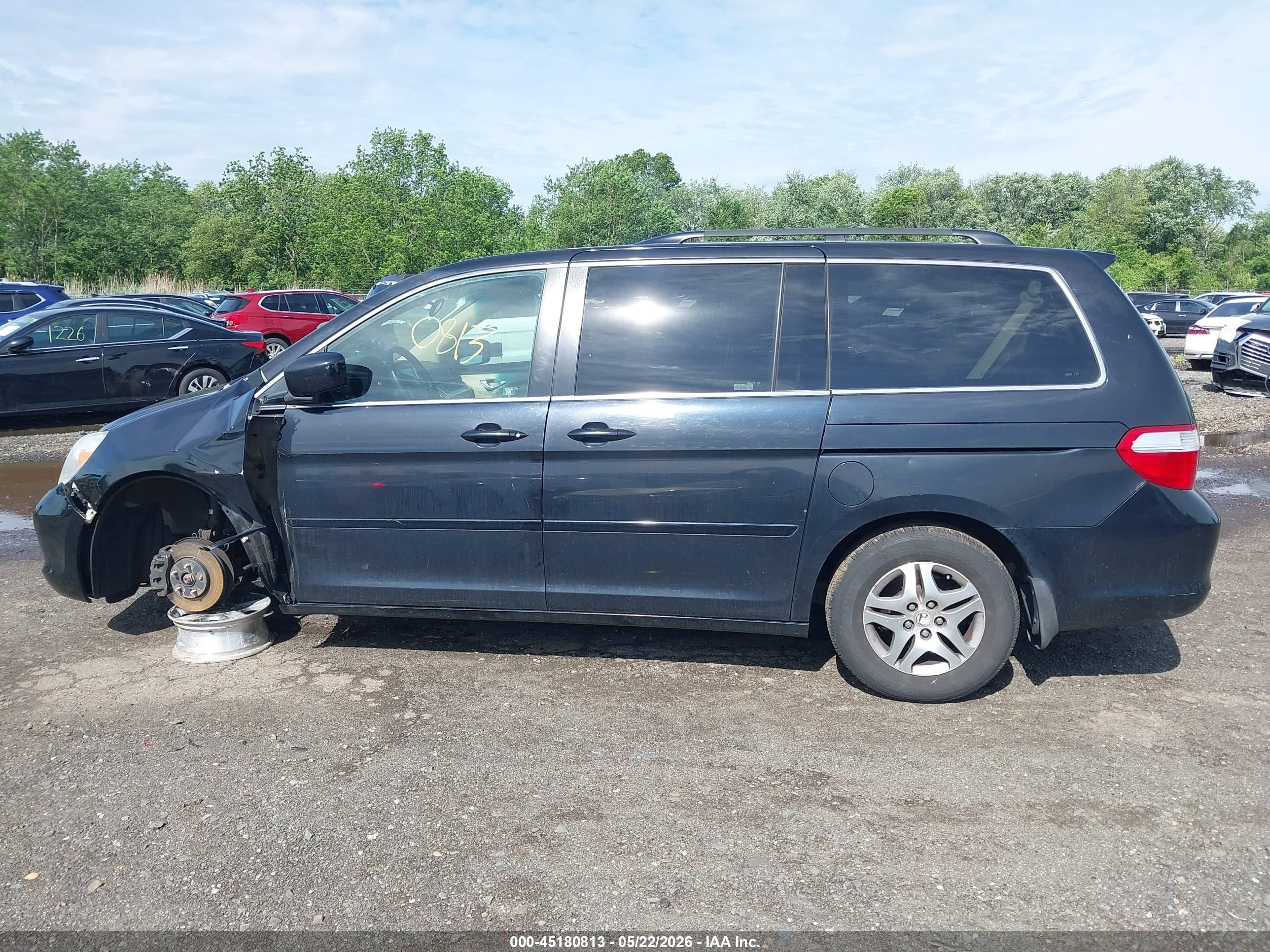2005 Honda Odyssey Ex-l Black vin: 5FNRL387X5B051175