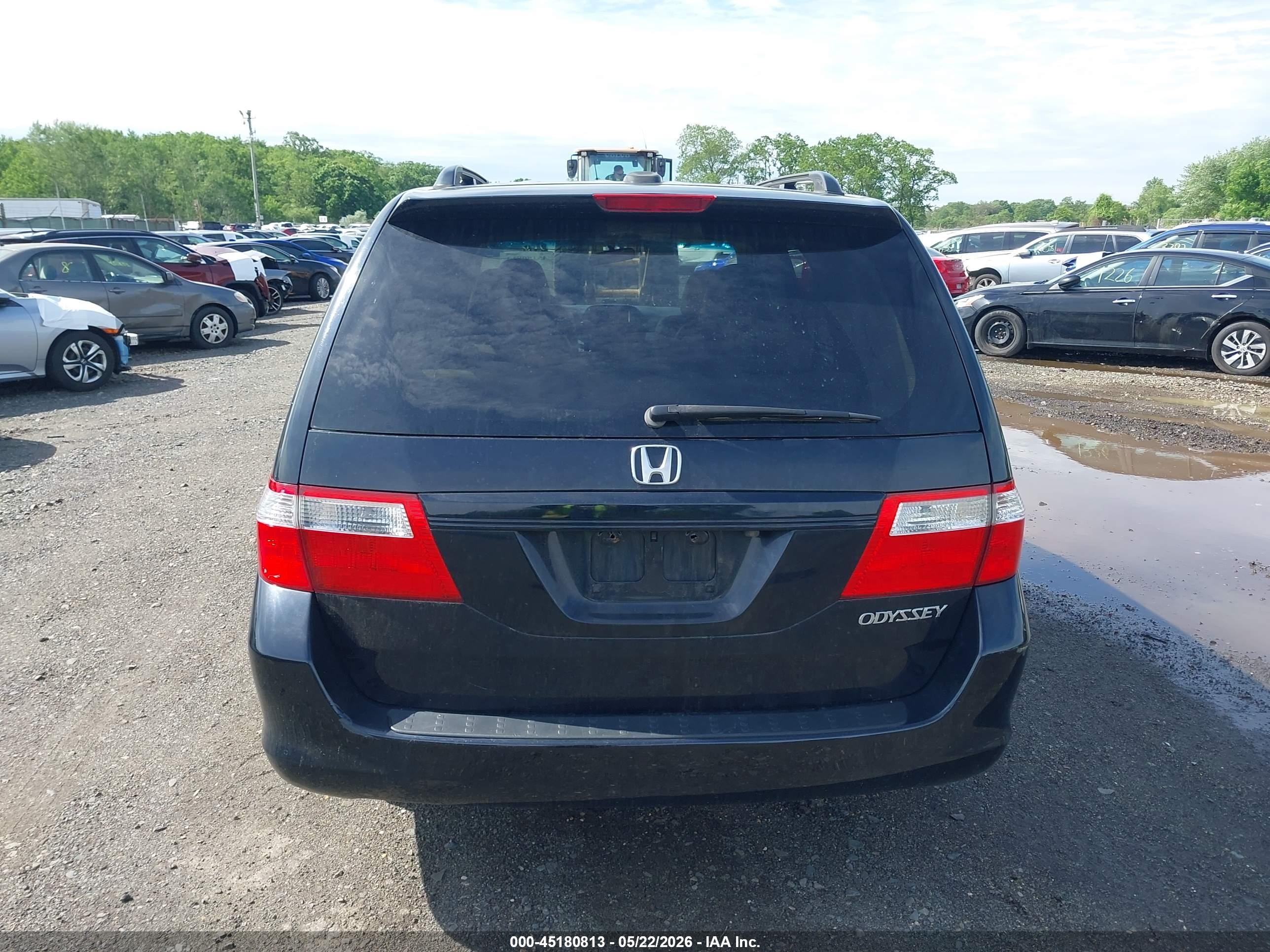 2005 Honda Odyssey Ex-l Black vin: 5FNRL387X5B051175