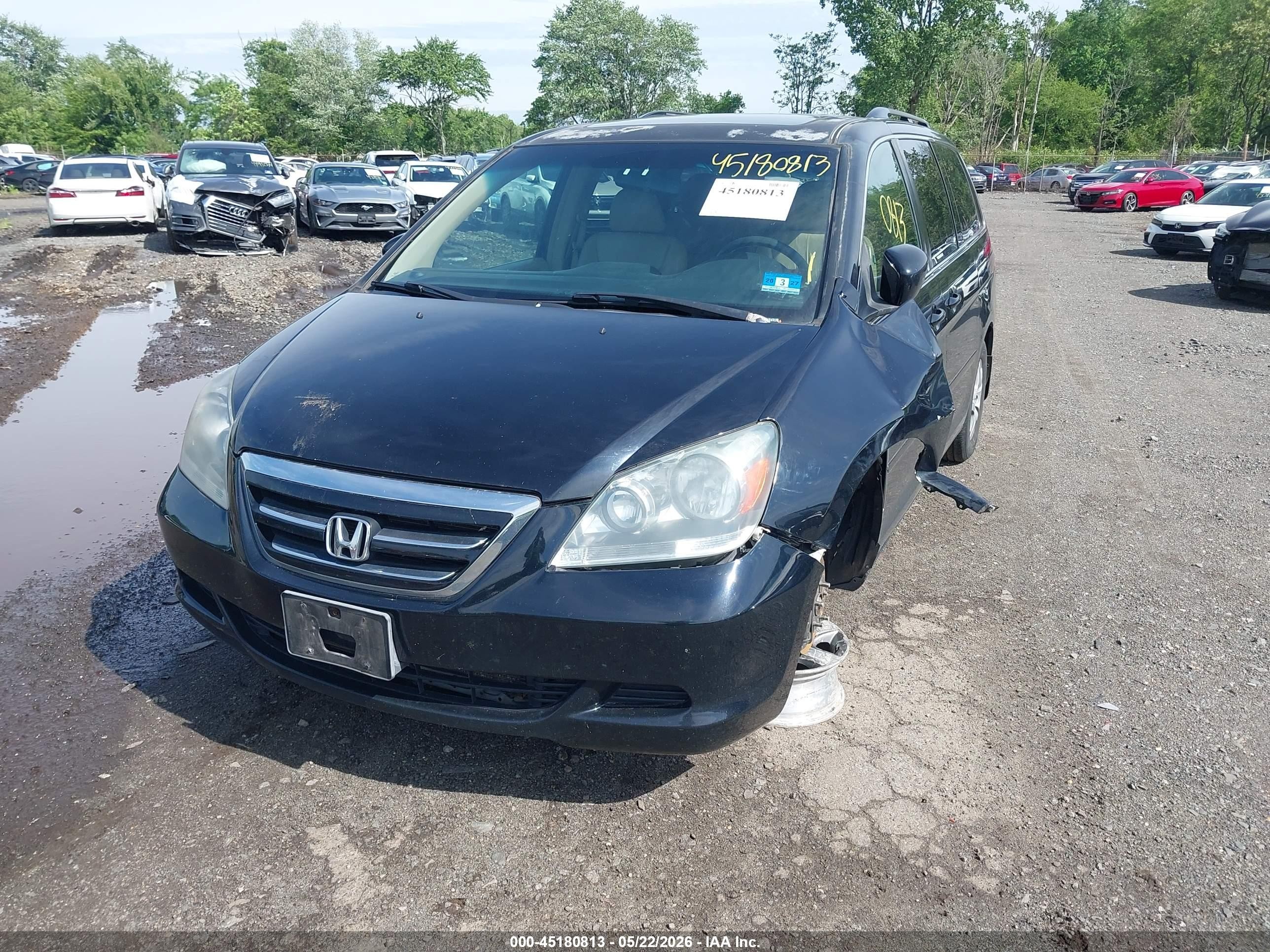 2005 Honda Odyssey Ex-l Black vin: 5FNRL387X5B051175