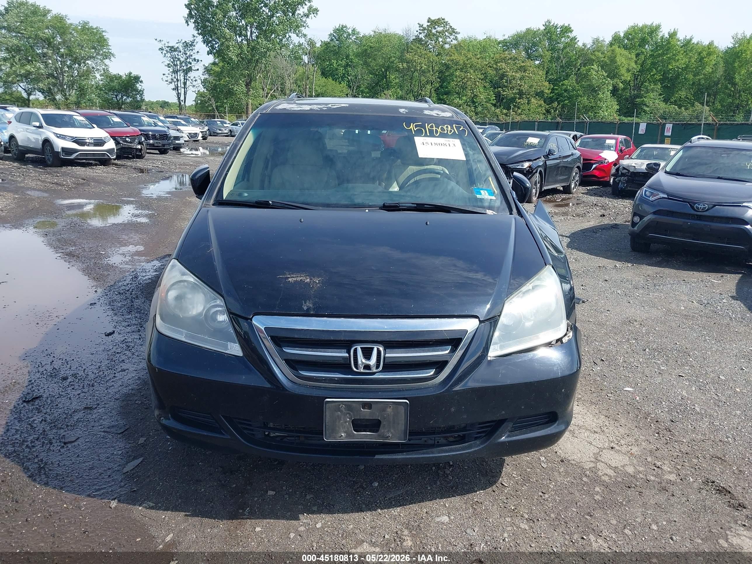 2005 Honda Odyssey Ex-l Black vin: 5FNRL387X5B051175