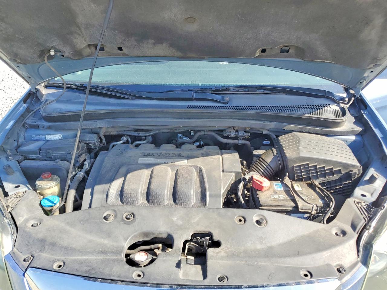 2005 Honda Odyssey Exl Blue vin: 5FNRL387X5B107163