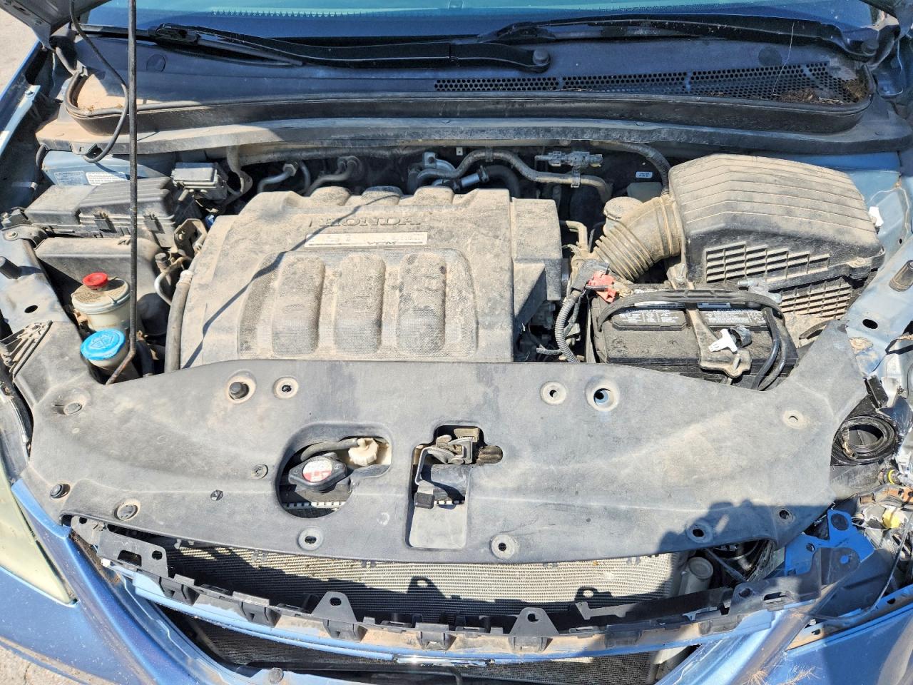 2006 Honda Odyssey Exl Blue vin: 5FNRL387X6B099826