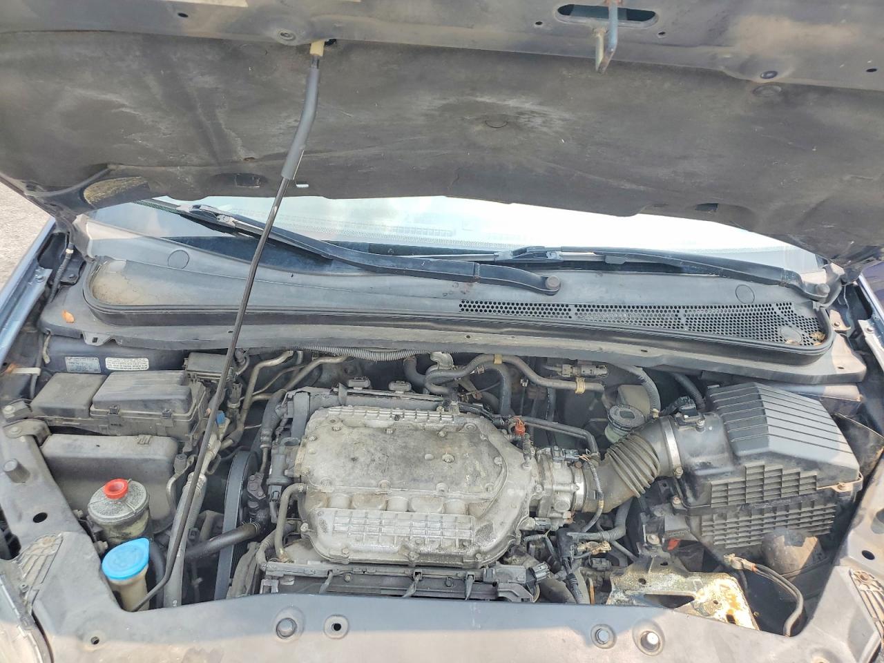 2007 Honda Odyssey Exl Blue vin: 5FNRL387X7B034685