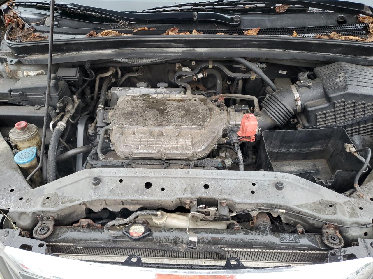 2007 Honda Odyssey Exl Серый vin: 5FNRL387X7B412567