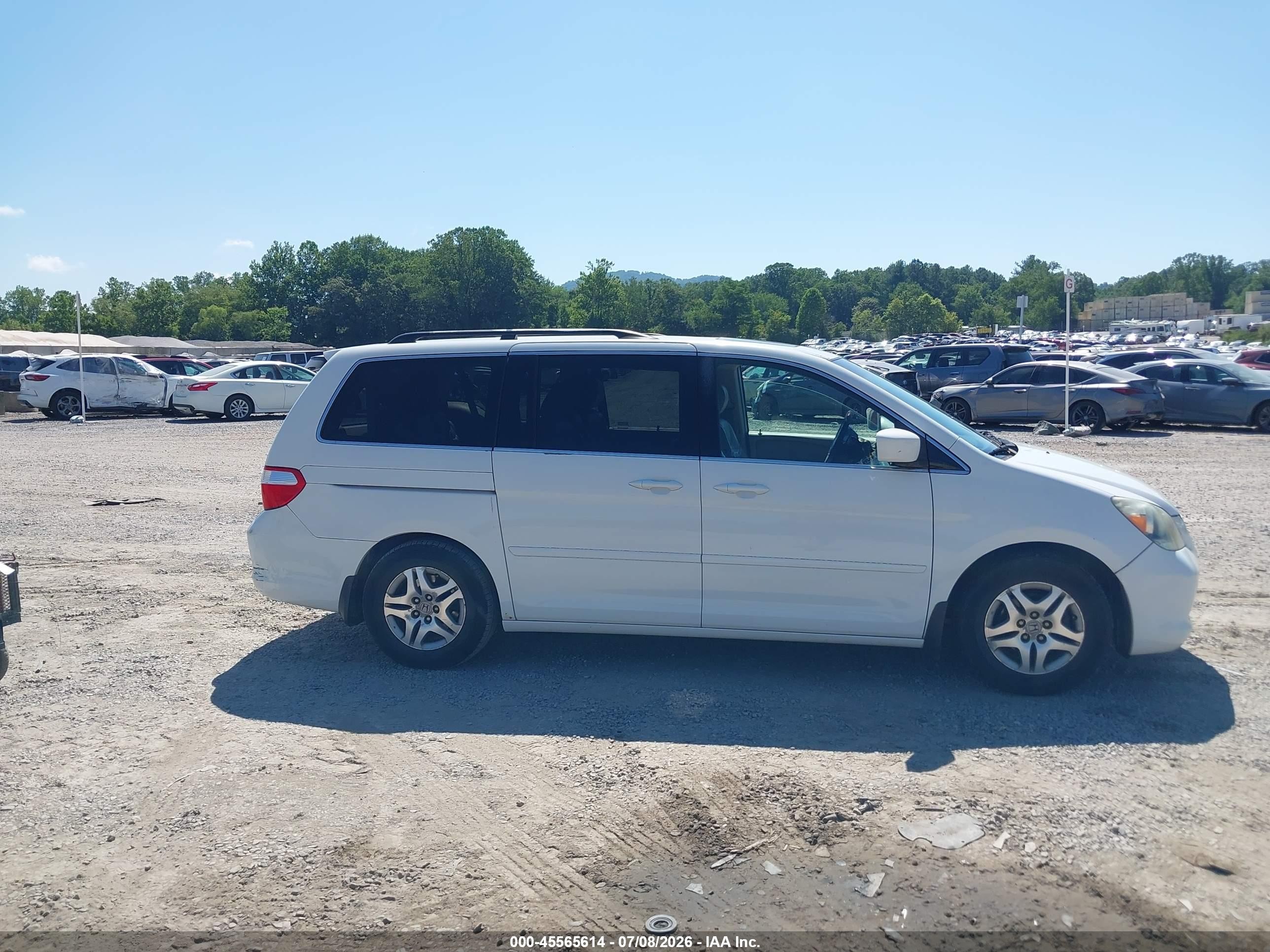 2007 Honda Odyssey Ex-l White vin: 5FNRL387X7B436254