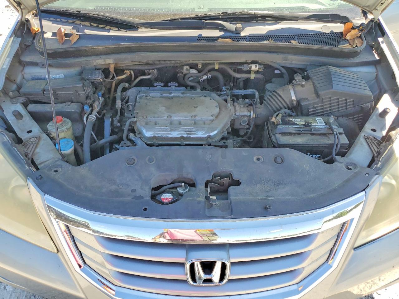 2008 Honda Odyssey Exl Gray vin: 5FNRL387X8B005950