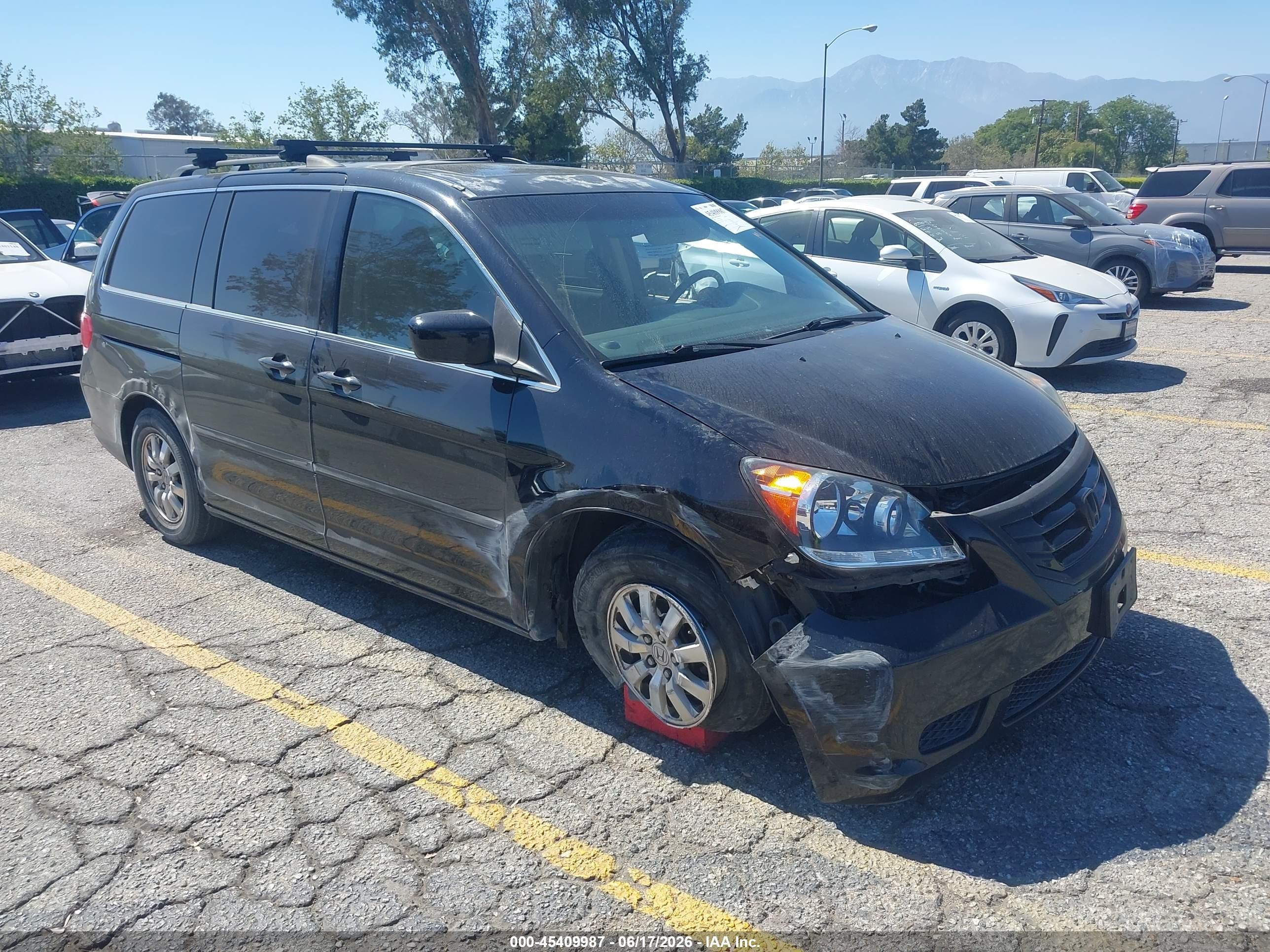 2009 Honda Odyssey Ex-l Black vin: 5FNRL387X9B027545