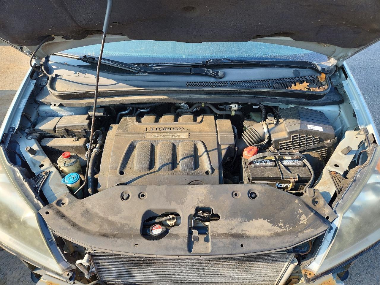 2009 Honda Odyssey Exl Blue vin: 5FNRL387X9B051702