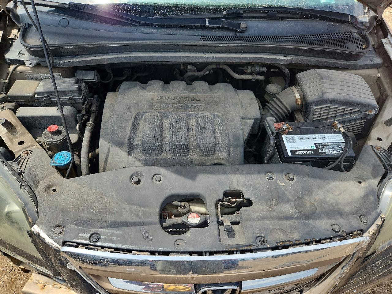 2005 Honda Odyssey Touring Tan vin: 5FNRL38875B012858