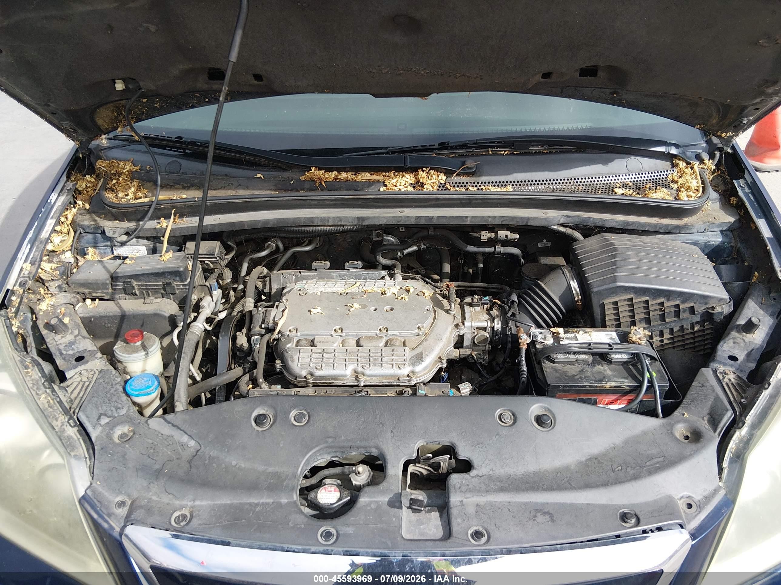 2005 Honda Odyssey Touring Синий vin: 5FNRL38895B098738