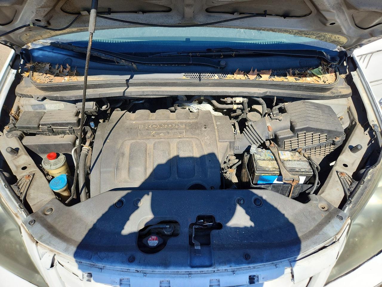 2010 Honda Odyssey Белый vin: 5FNRL3H41AB112302