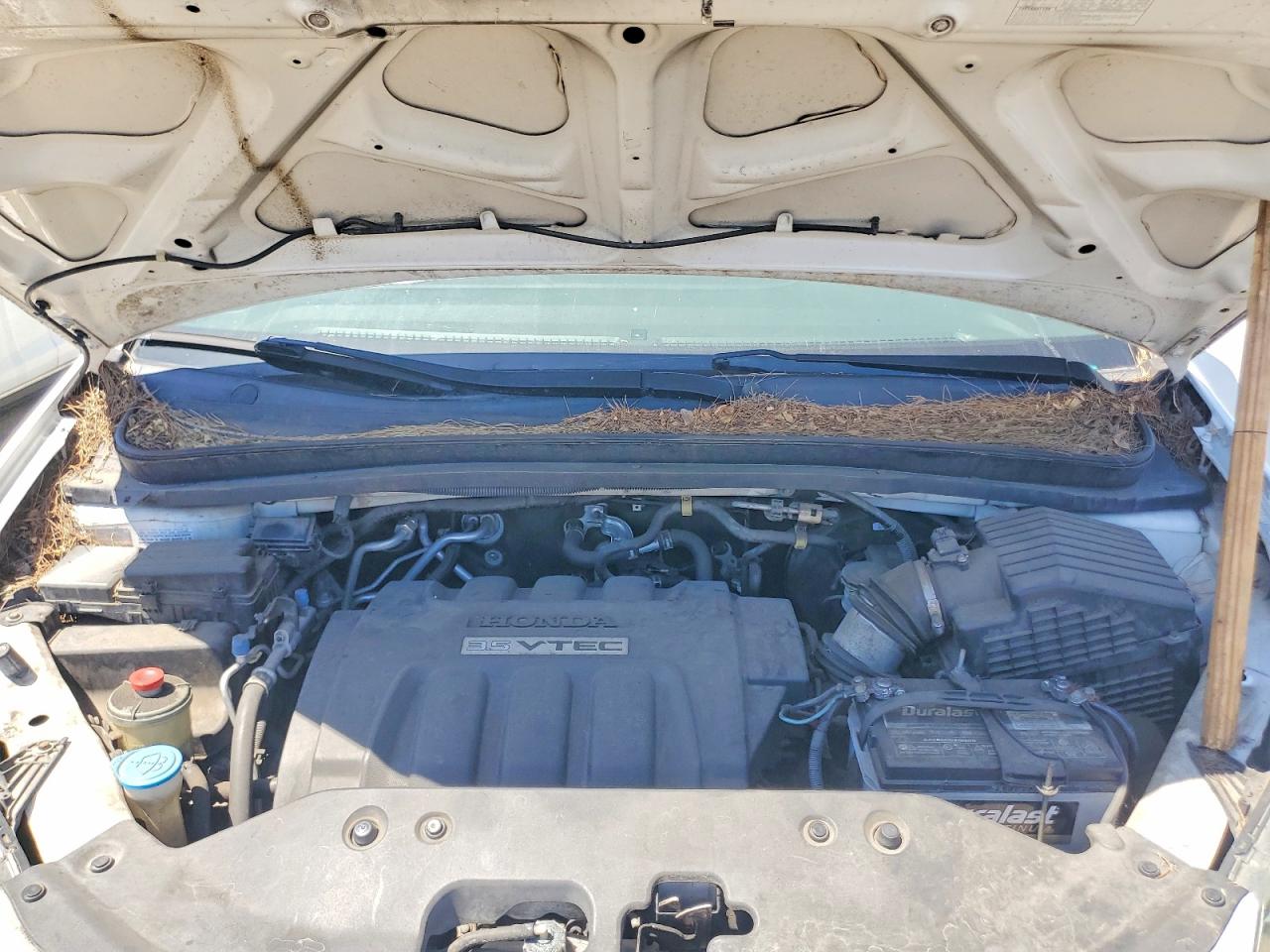 2010 Honda Odyssey Ex White vin: 5FNRL3H44AB081191