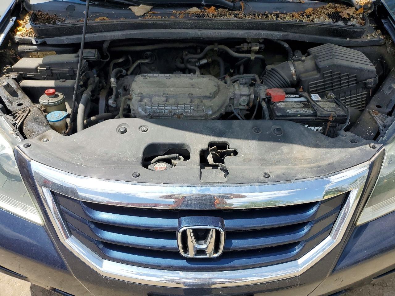 2010 Honda Odyssey Ex Blue vin: 5FNRL3H52AB504388