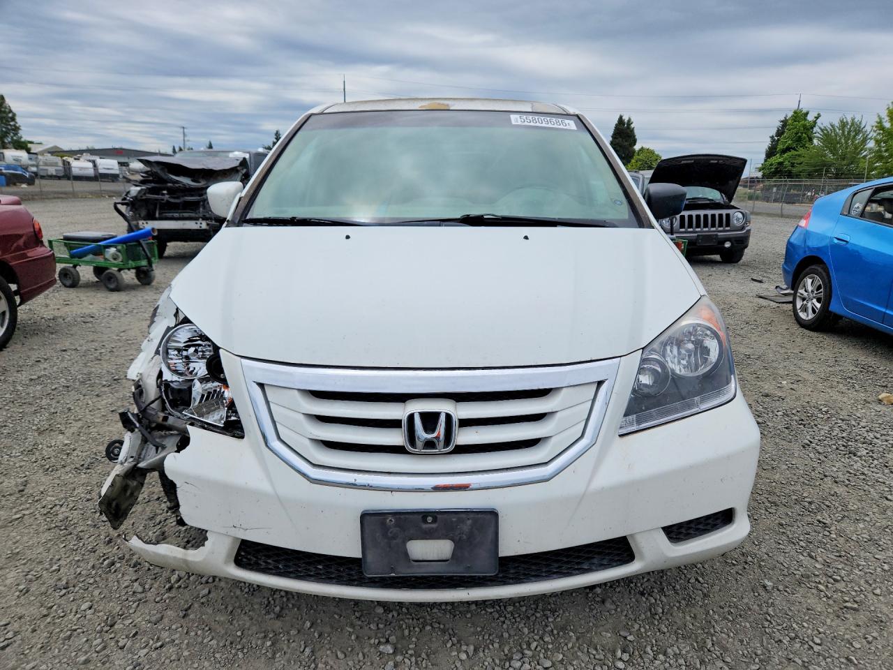 2010 Honda Odyssey Ex White vin: 5FNRL3H56AB060559