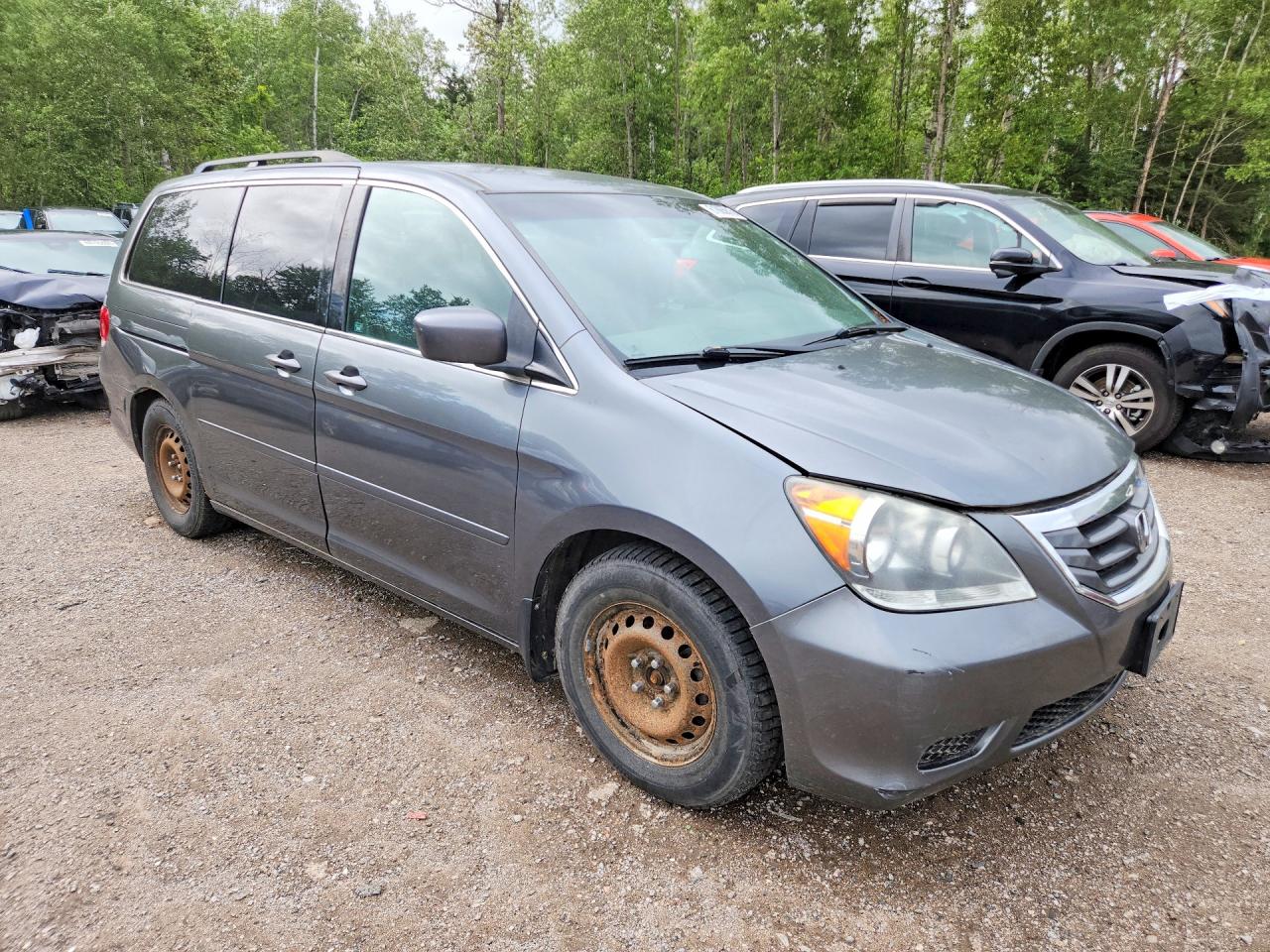 2010 Honda Odyssey Ex Gray vin: 5FNRL3H59AB501794
